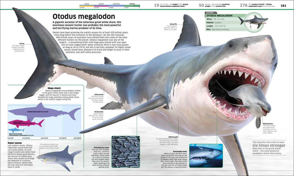 Knowledge Encyclopedia Dinosaur