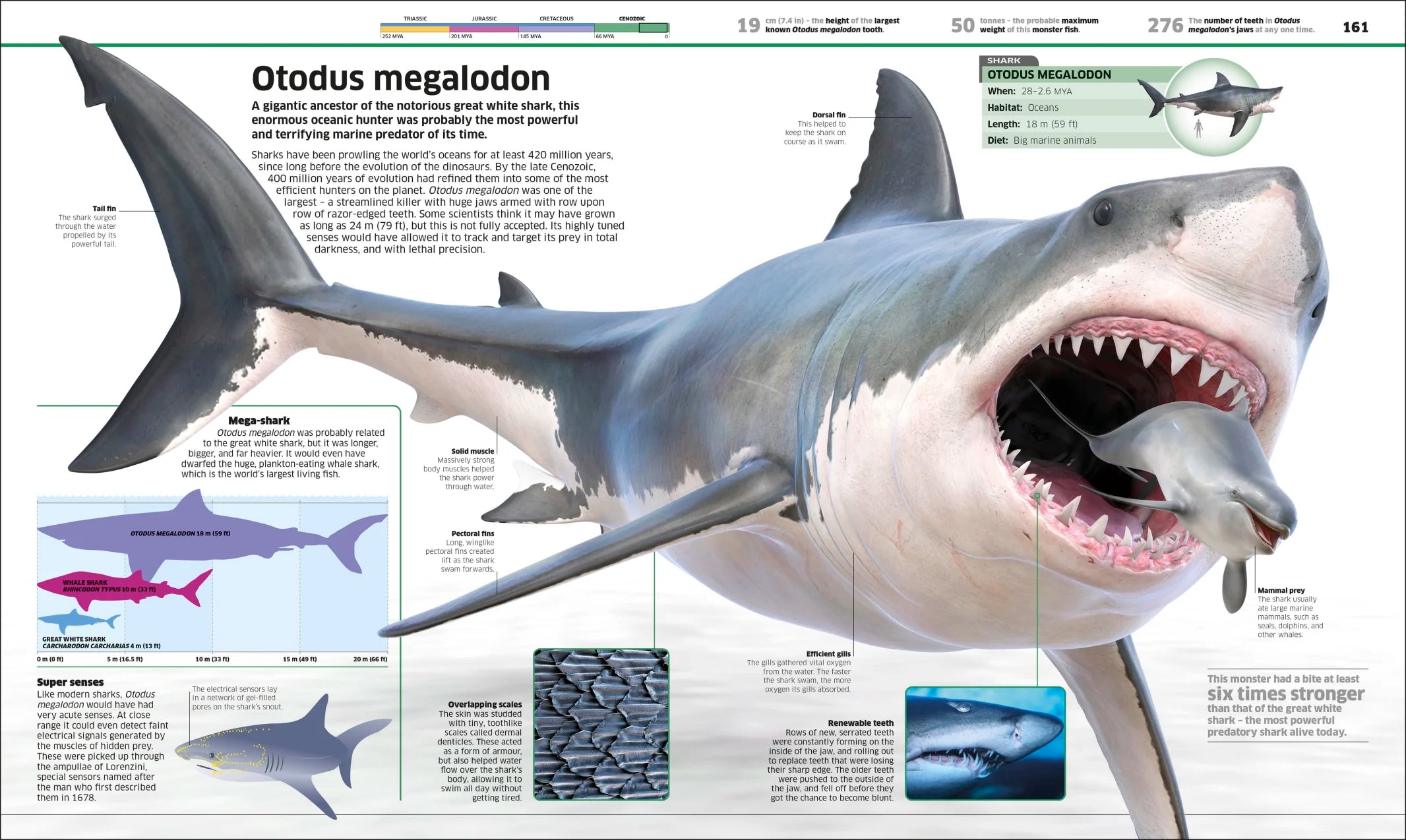 Knowledge Encyclopedia Dinosaur