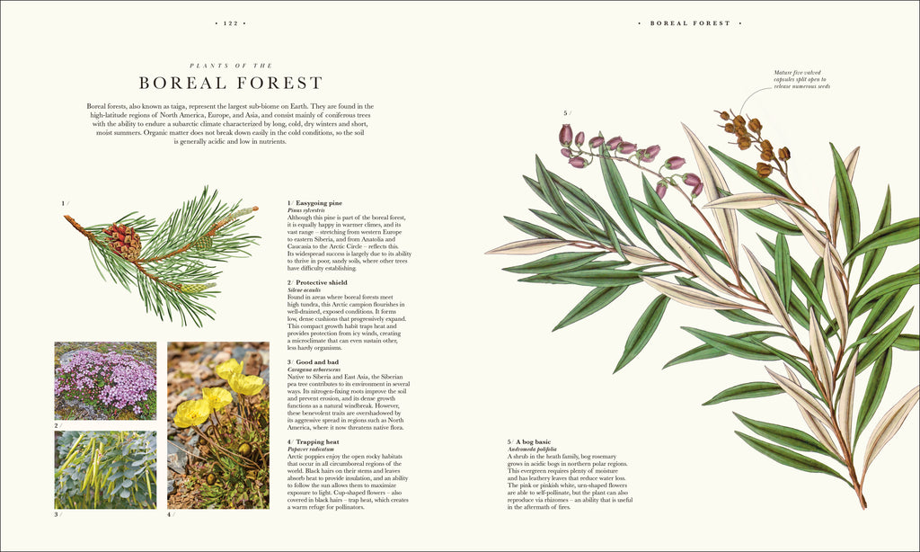 9780241745090-spread-10