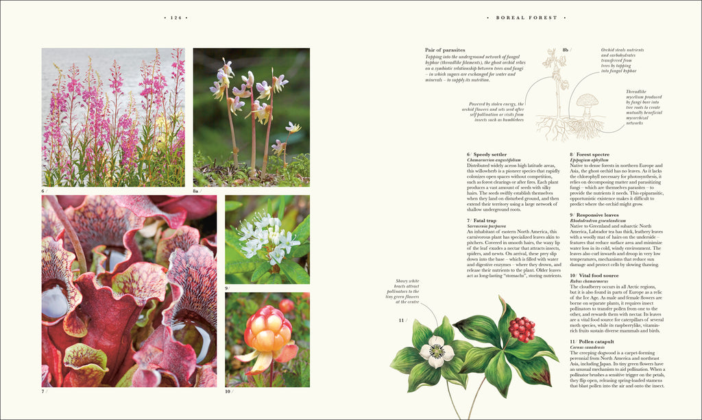 9780241745090-spread-11