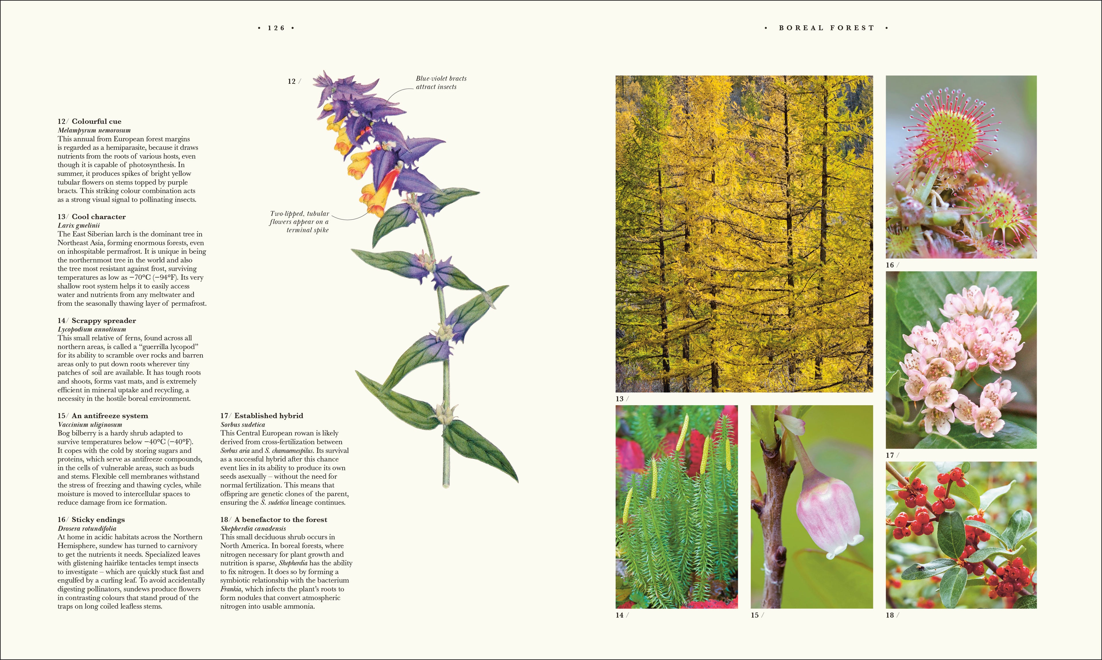 9780241745090-spread-12