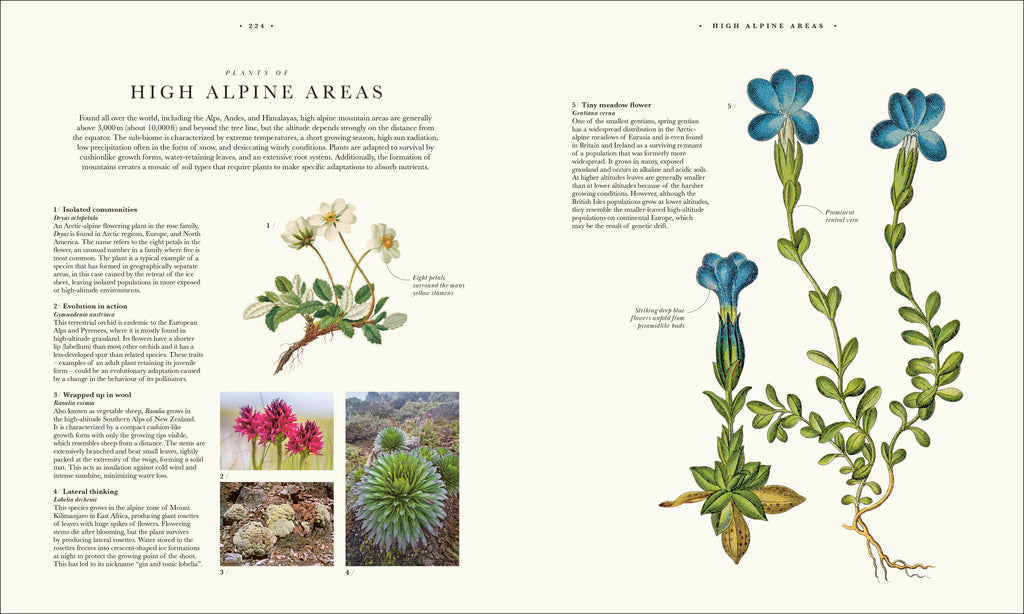 9780241745090-spread-13