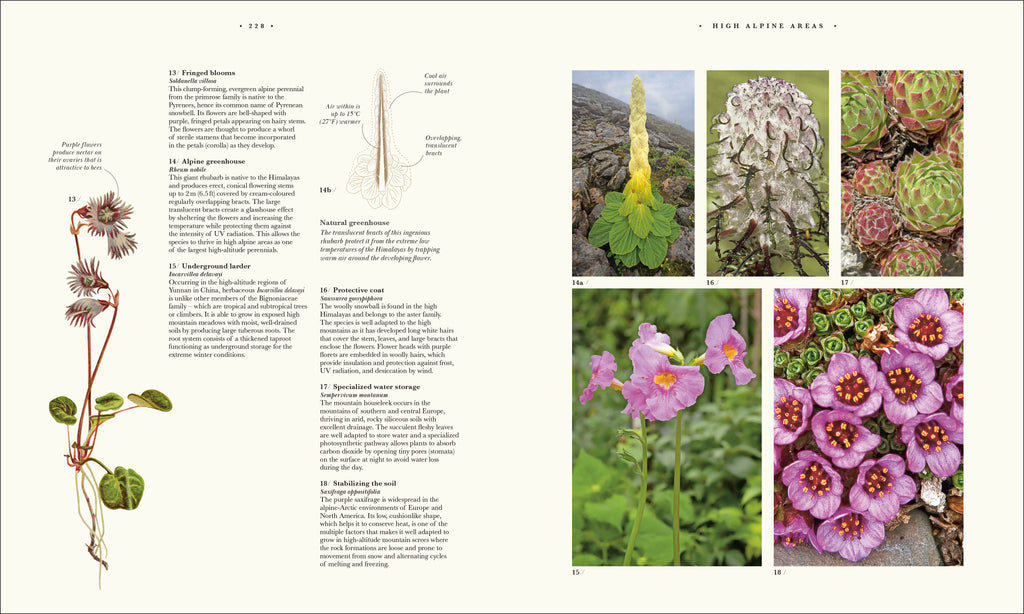 9780241745090-spread-15