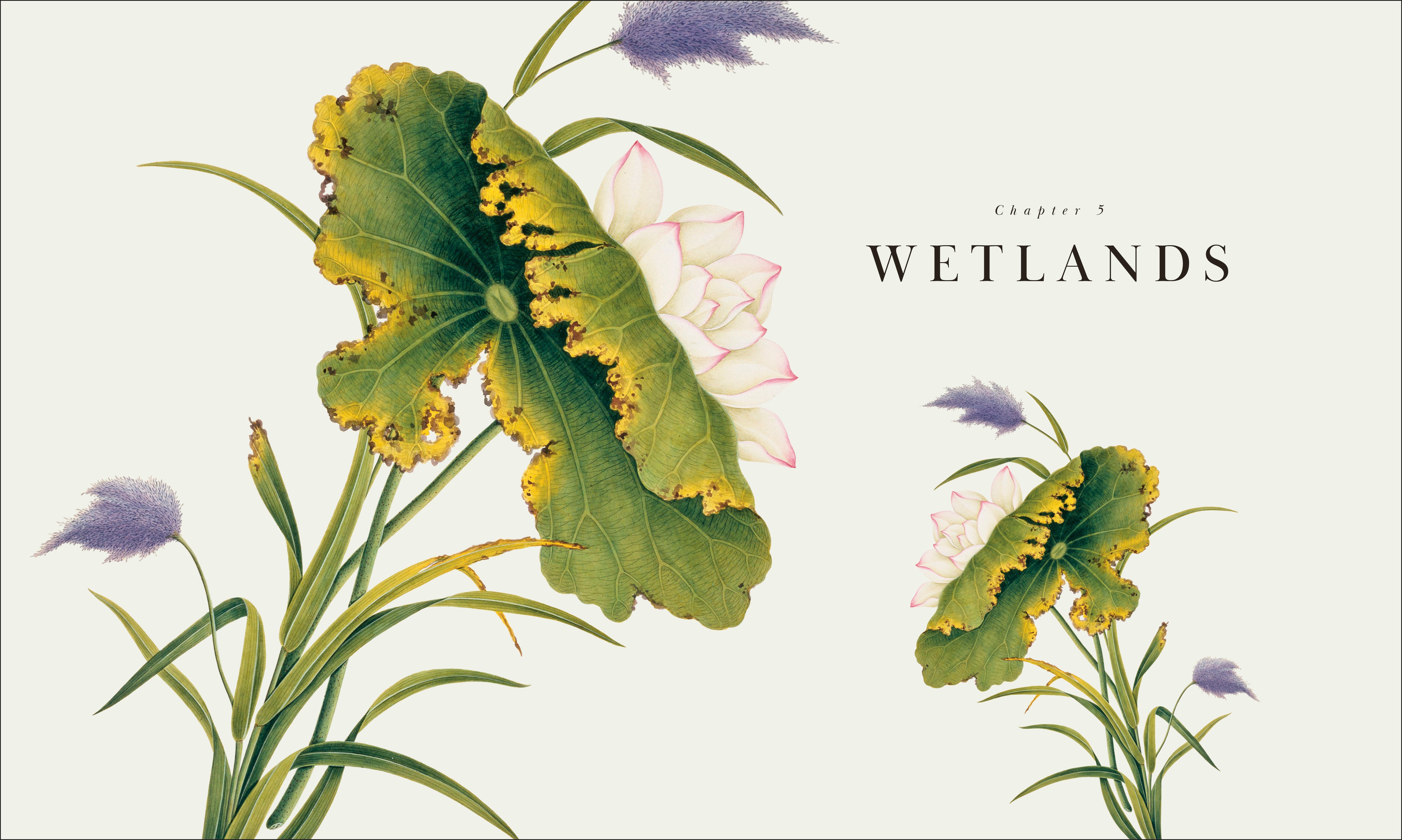 Atlas of Botany – DK