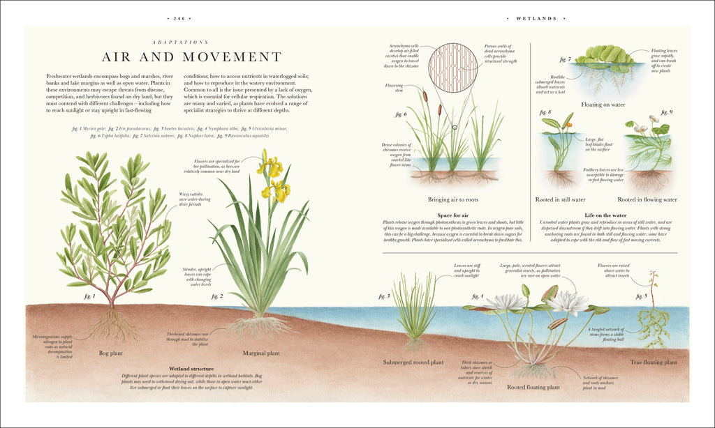 9780241745090-spread-17