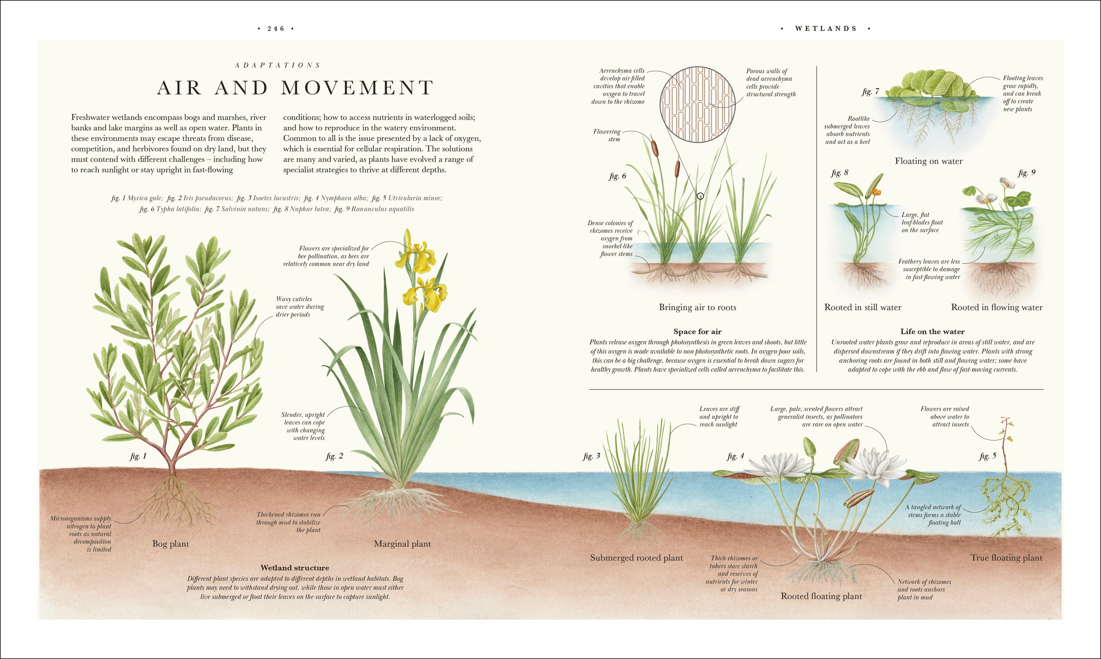 9780241745090-spread-17