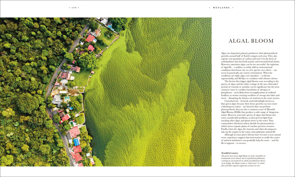 9780241745090-spread-18