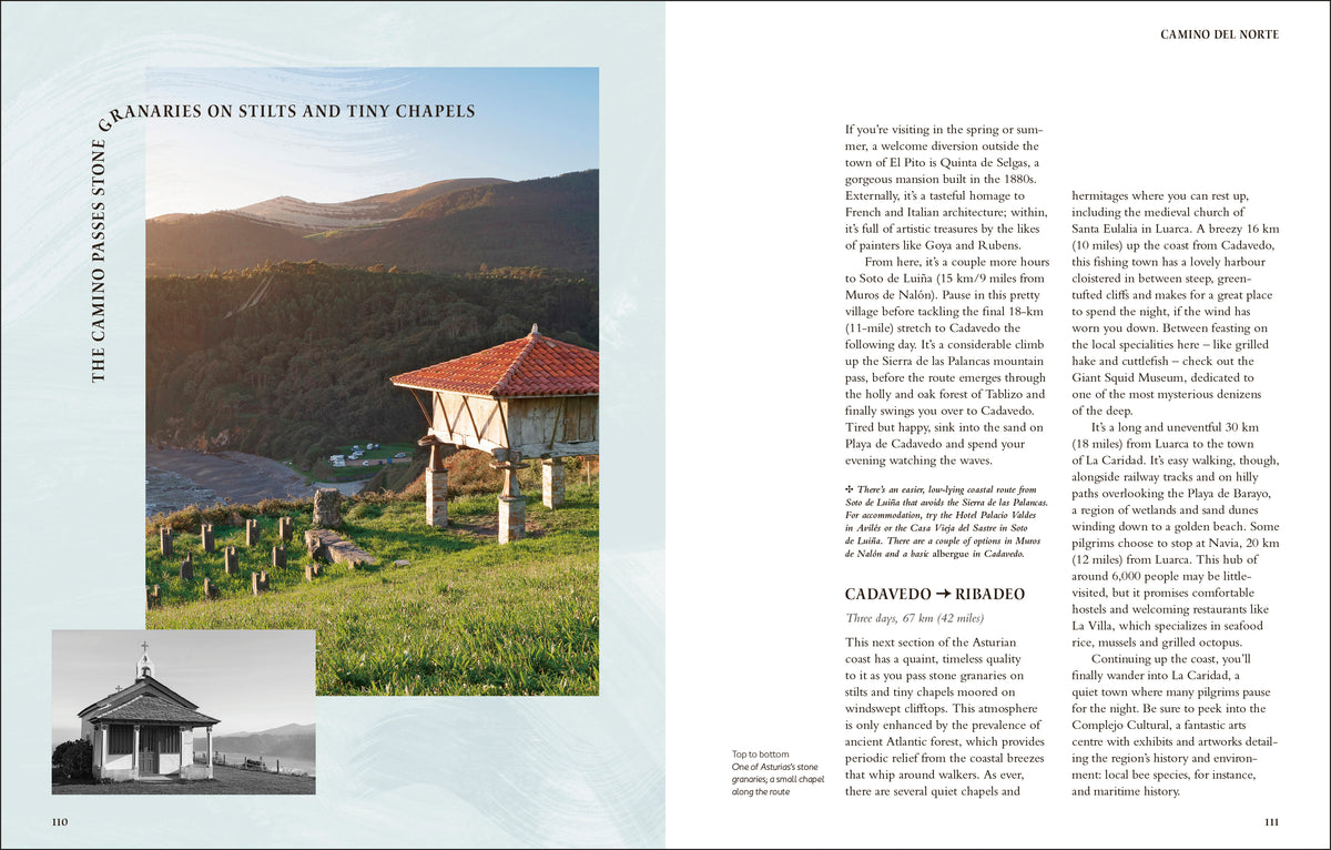 9780241760291-spread-7