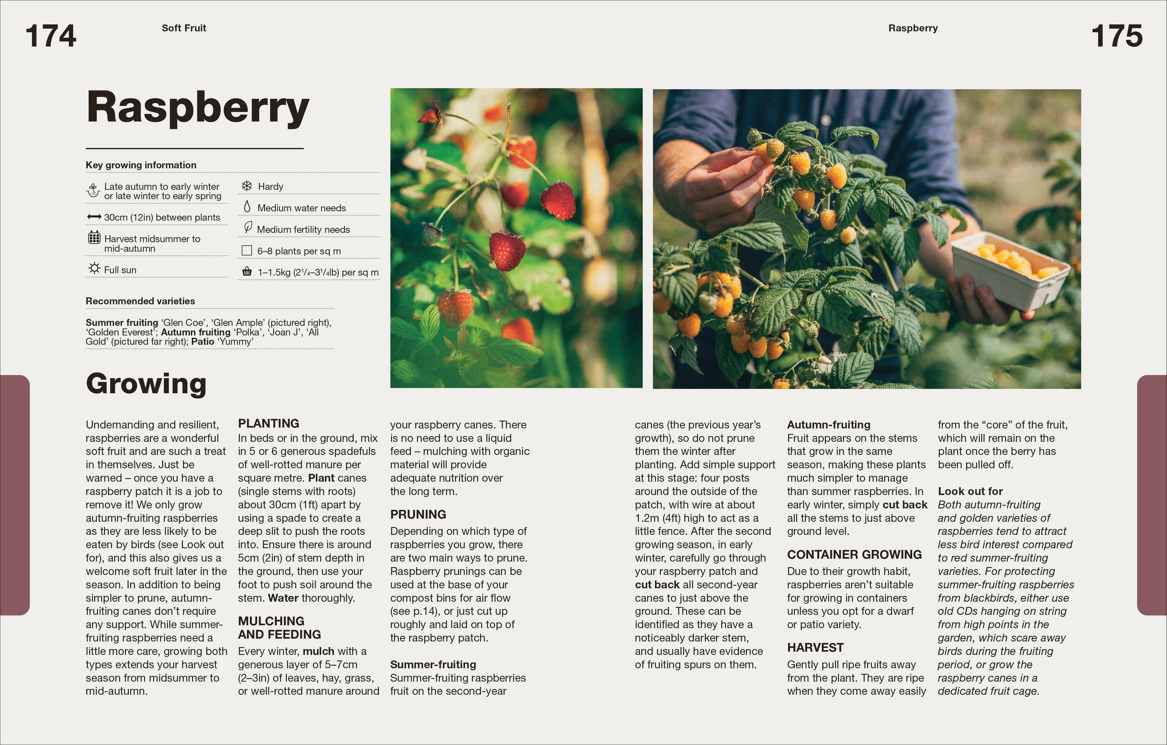 9780241767030-spread-11