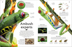 Shapes of Nature