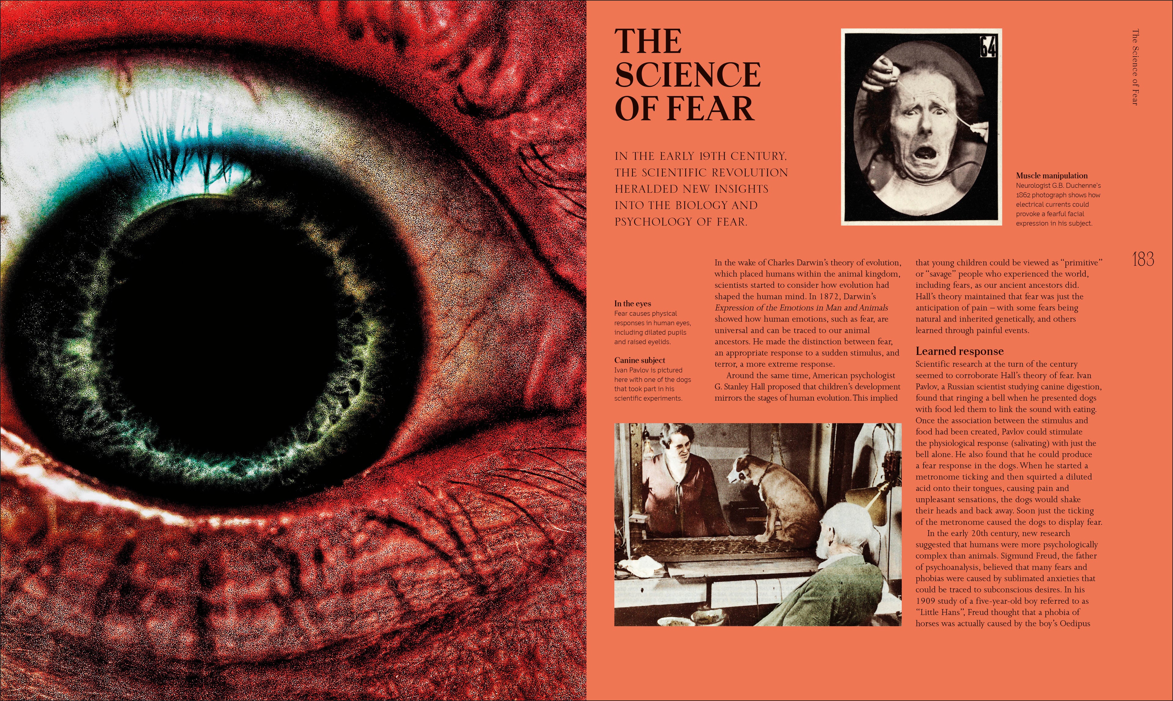 9780241777442-spread-4