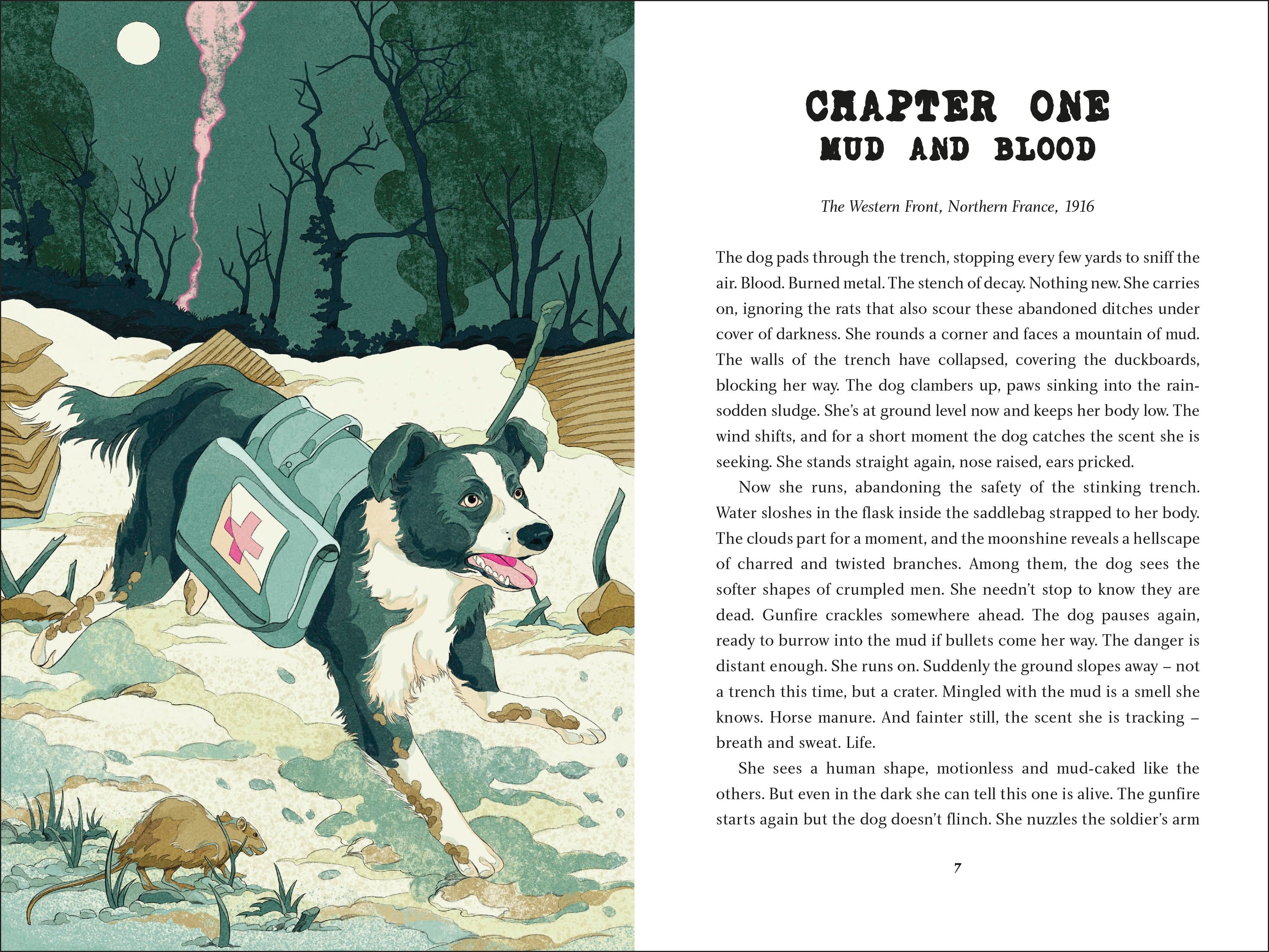 【DVD】penicillin shock vol.1～6 DVD】penicillin shock vol.1～6 DVD】penicillin shock vol.1～6 DVD