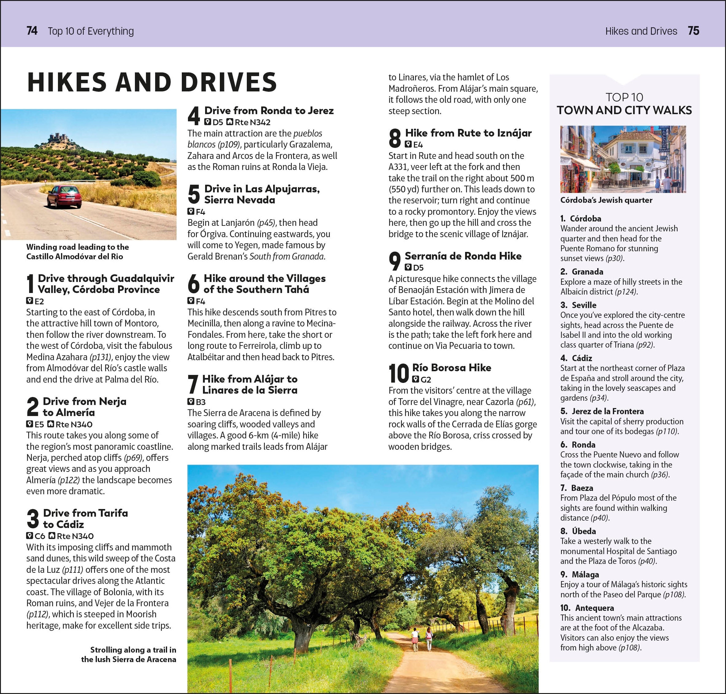 DK Top 10 Andalucía and the Costa del Sol