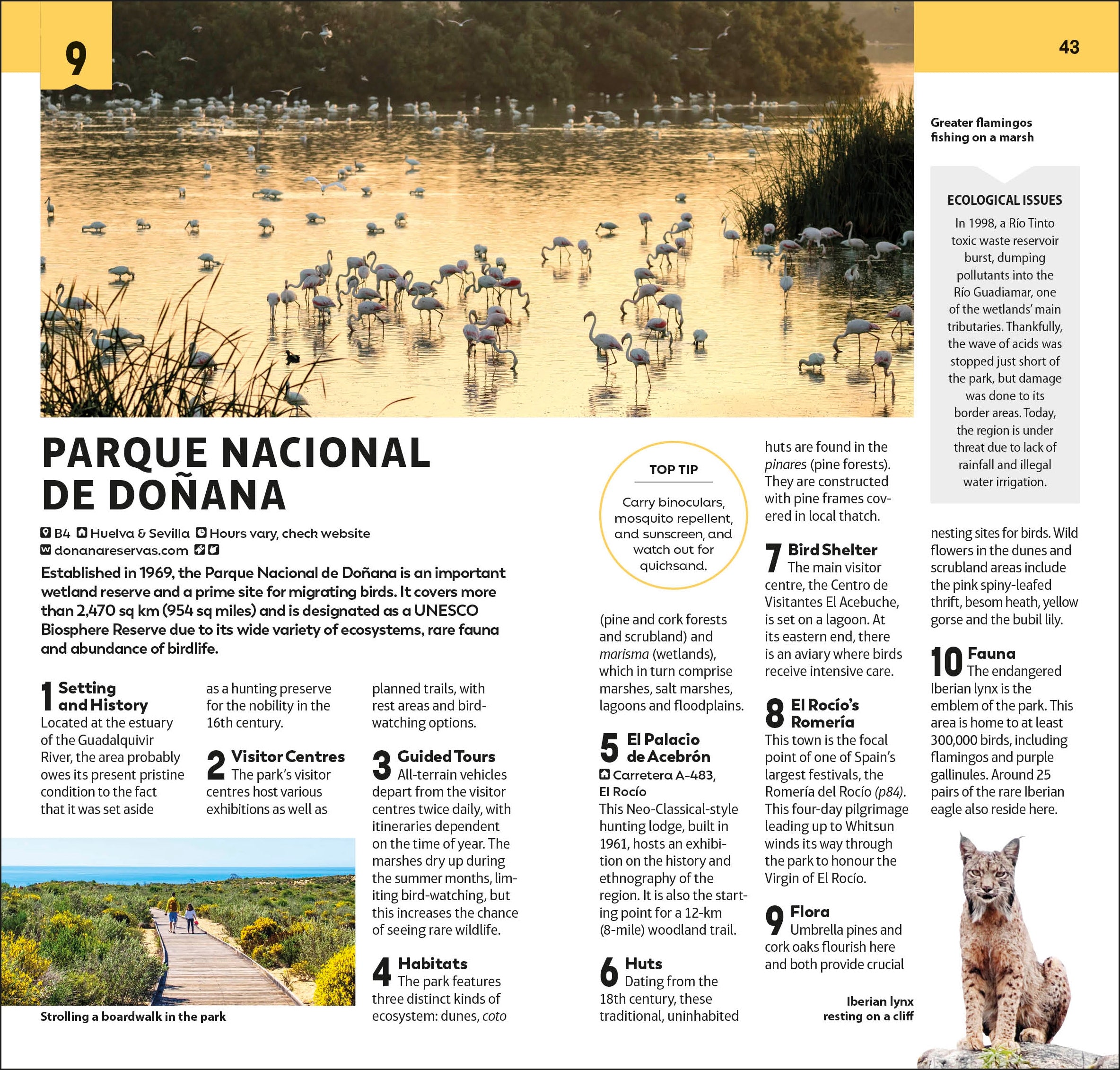 DK Top 10 Andalucía and the Costa del Sol