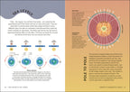 9780241784341-spread-Spread Image (PRHC Design Do Not Use)