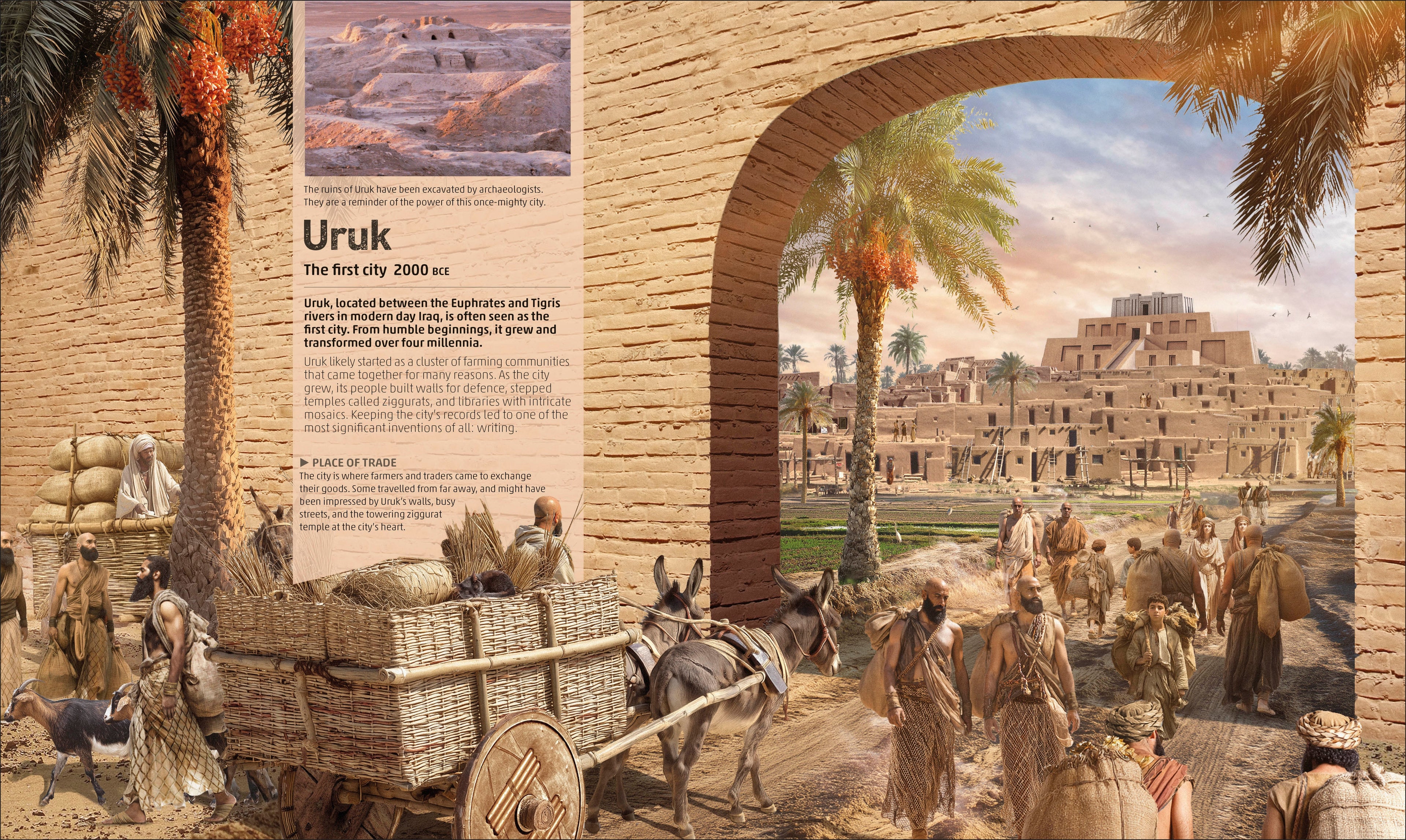The Story of the City