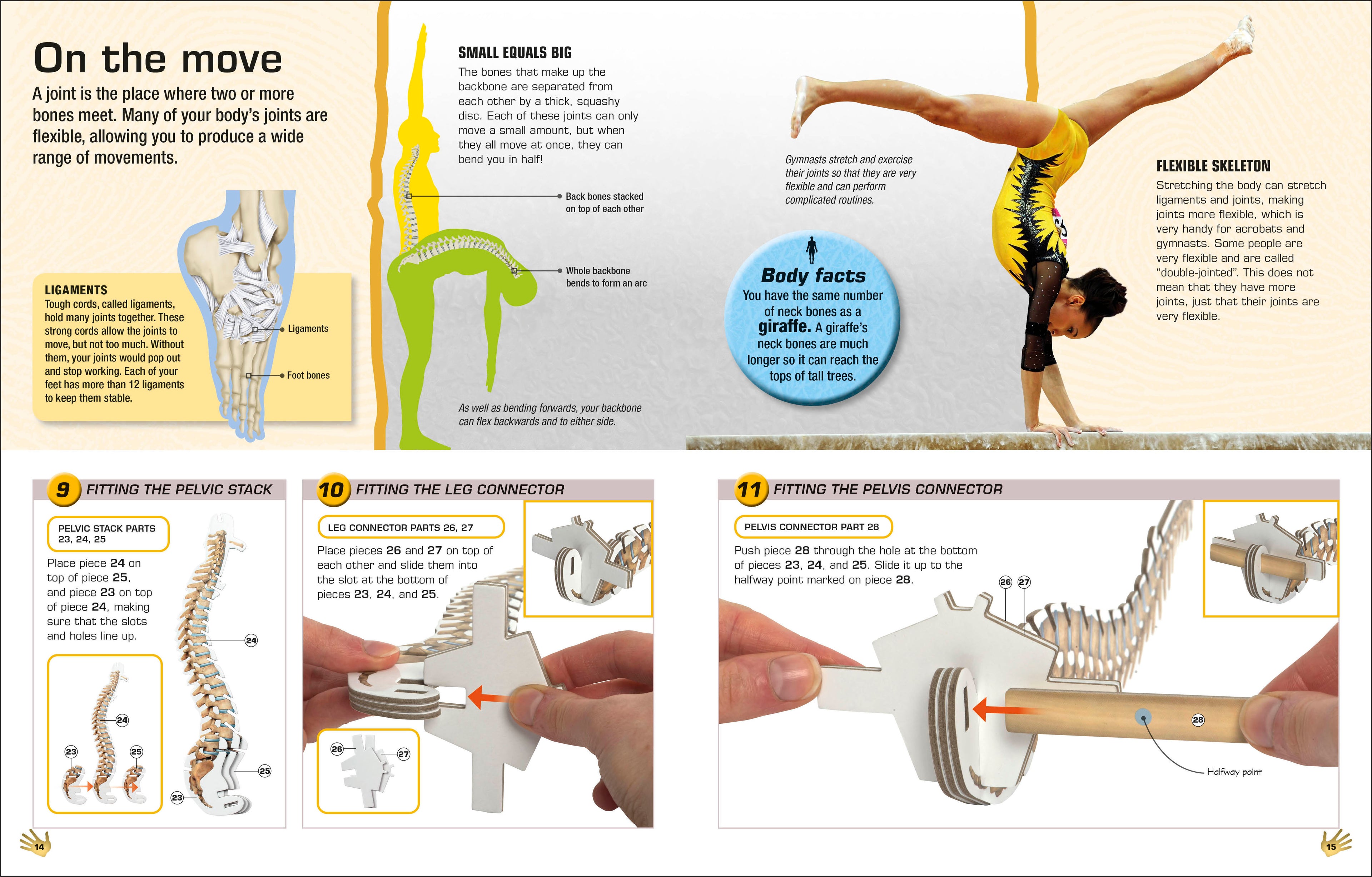 Make Your Own Skeleton