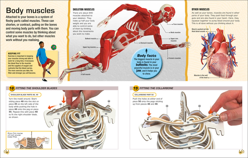 Make Your Own Skeleton