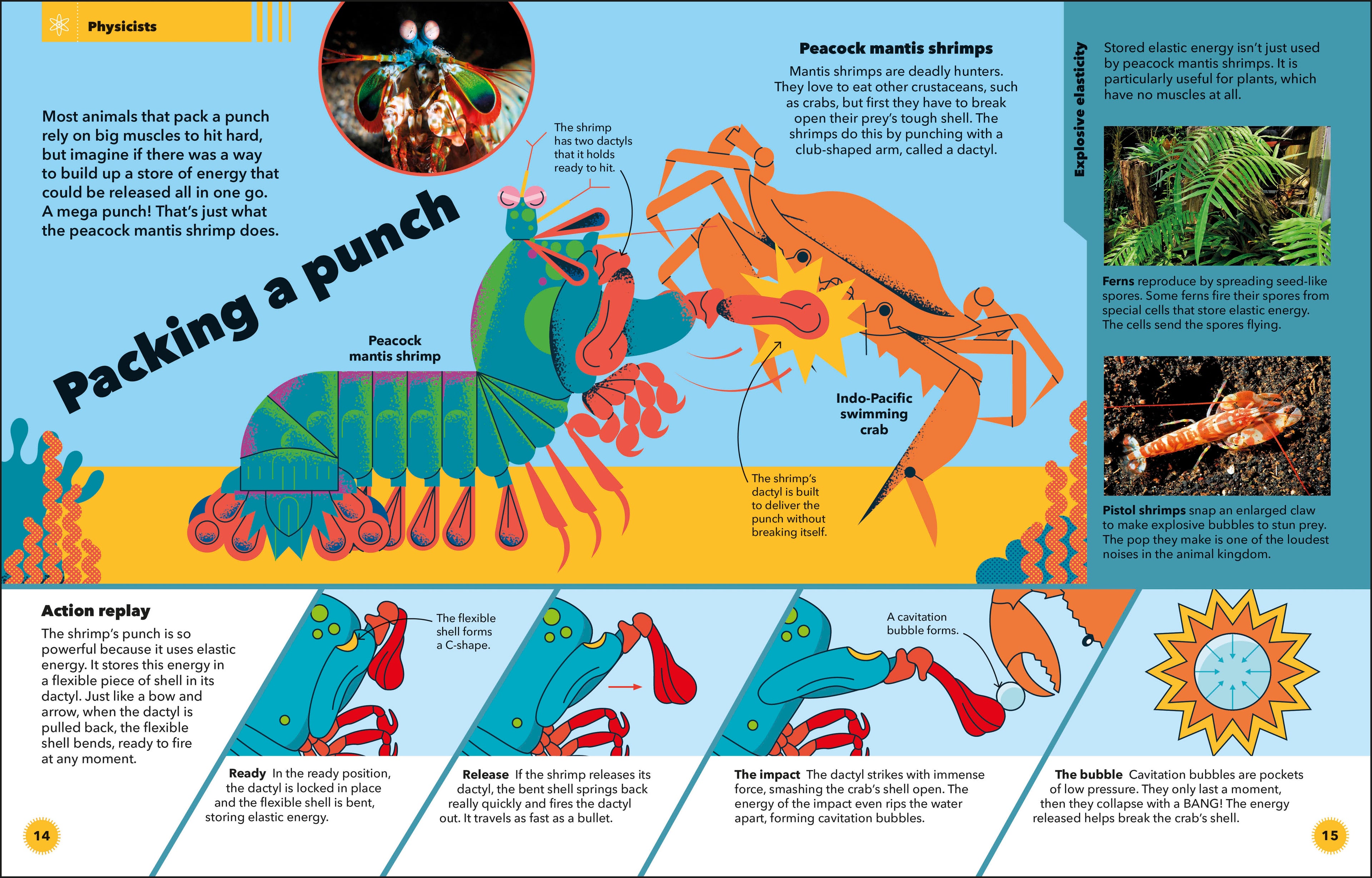 9780241795842-spread-Spread Image (PRHC Design Do Not Use)