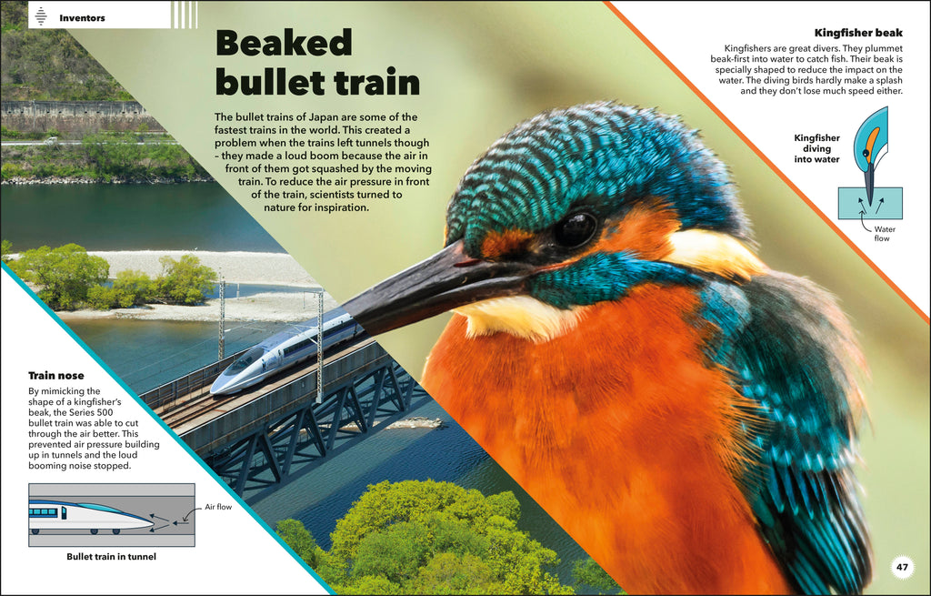 9780241795842-spread-Spread Image (PRHC Design Do Not Use)