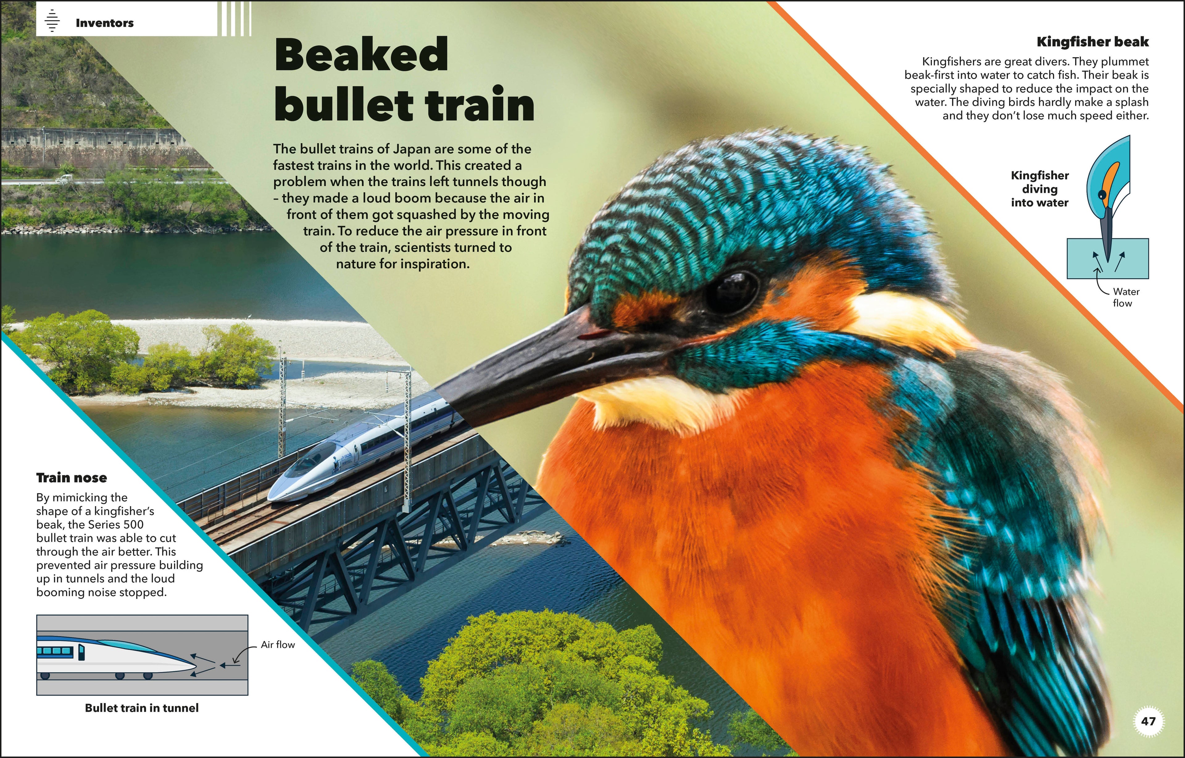 9780241795842-spread-Spread Image (PRHC Design Do Not Use)