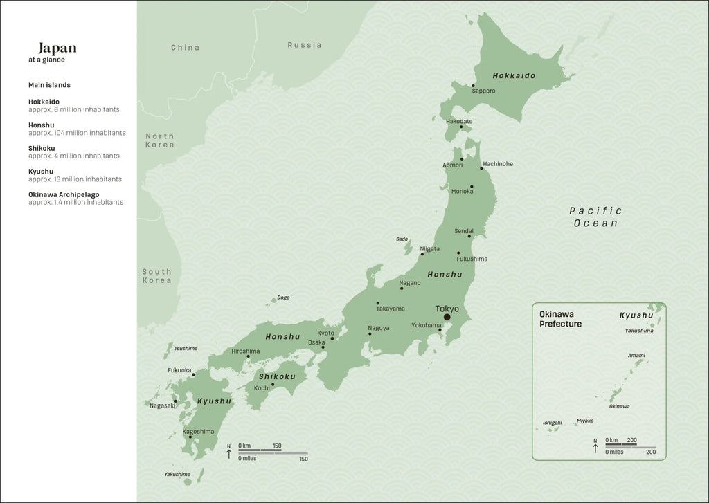 Japan Travel Journal