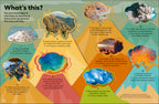 Eyewonder Volcanoes