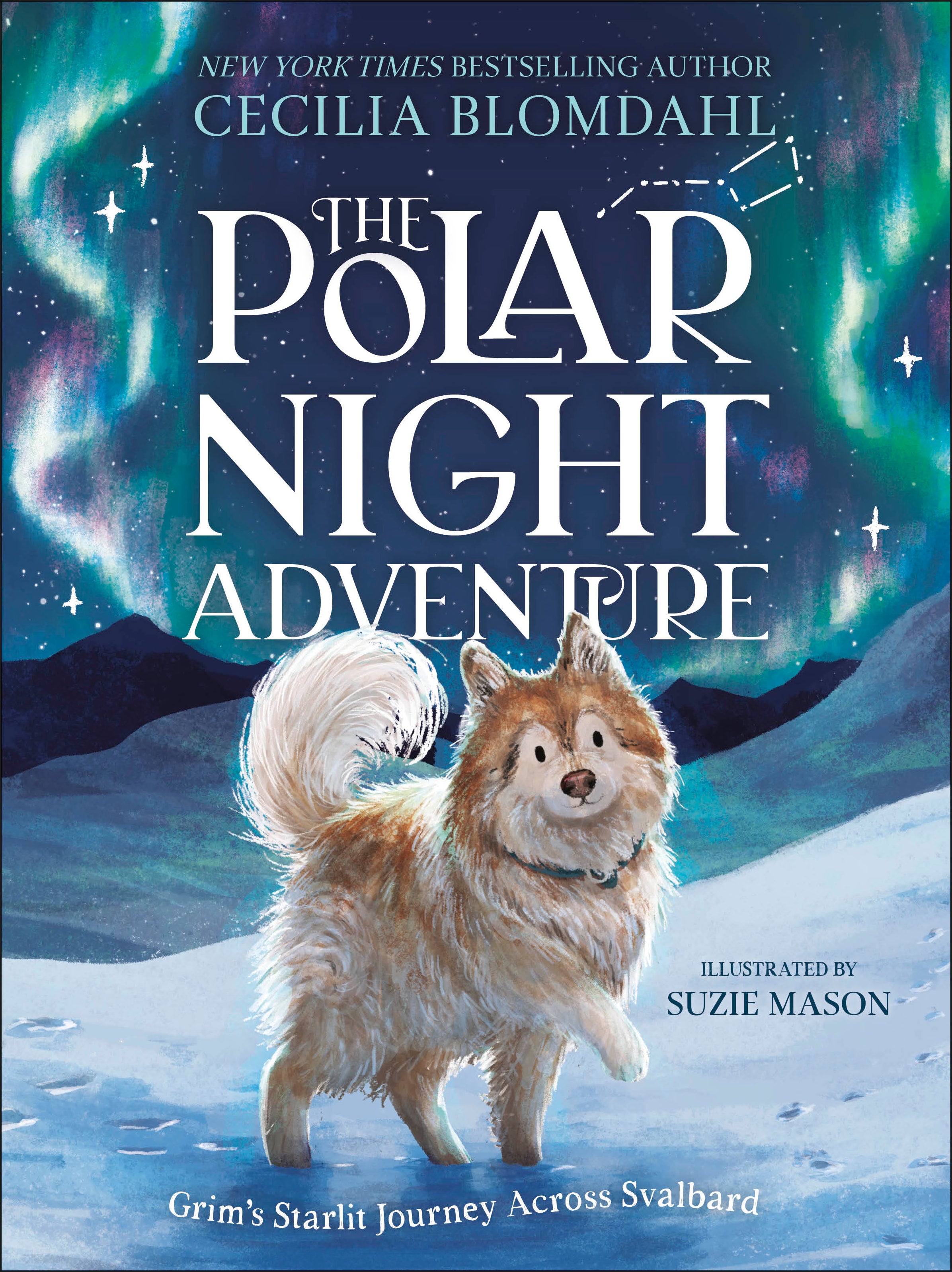 The Polar Night Adventure – DK