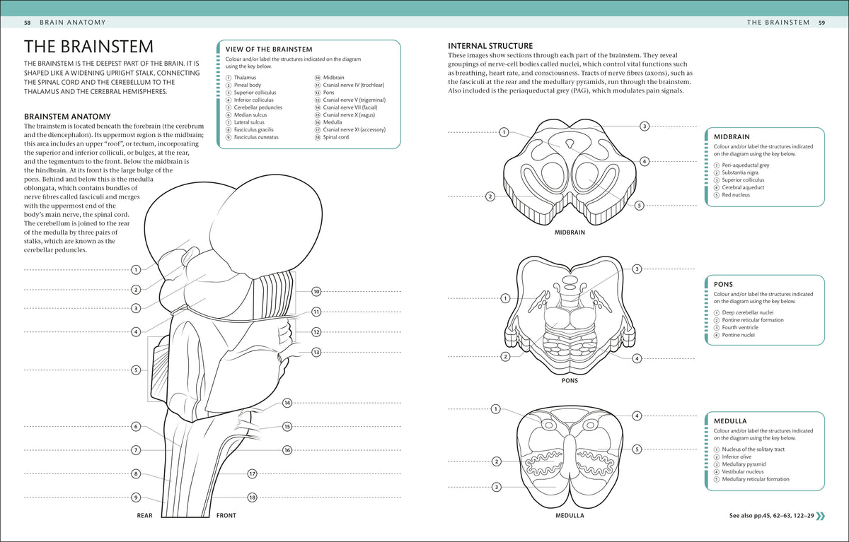 9780241809310-spread-3
