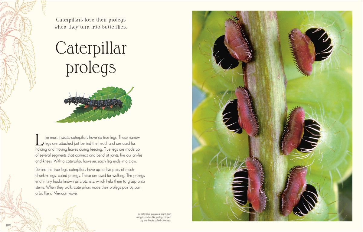 9780241812976-spread-4