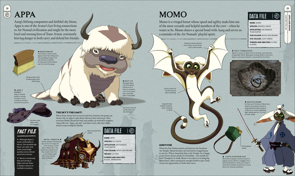 Avatar The Last Airbender Visual Dictionary