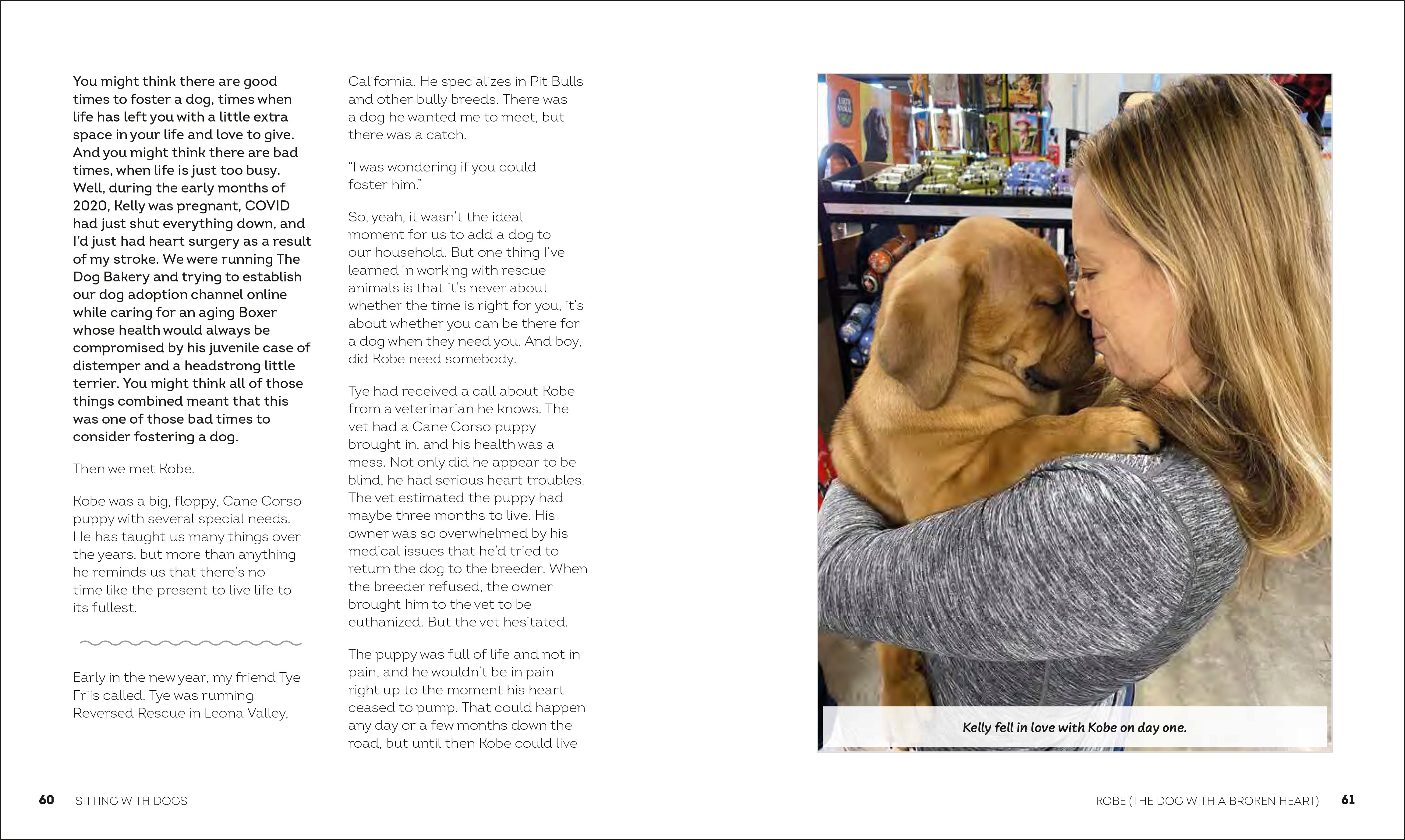 Sitting with Dogs – DK