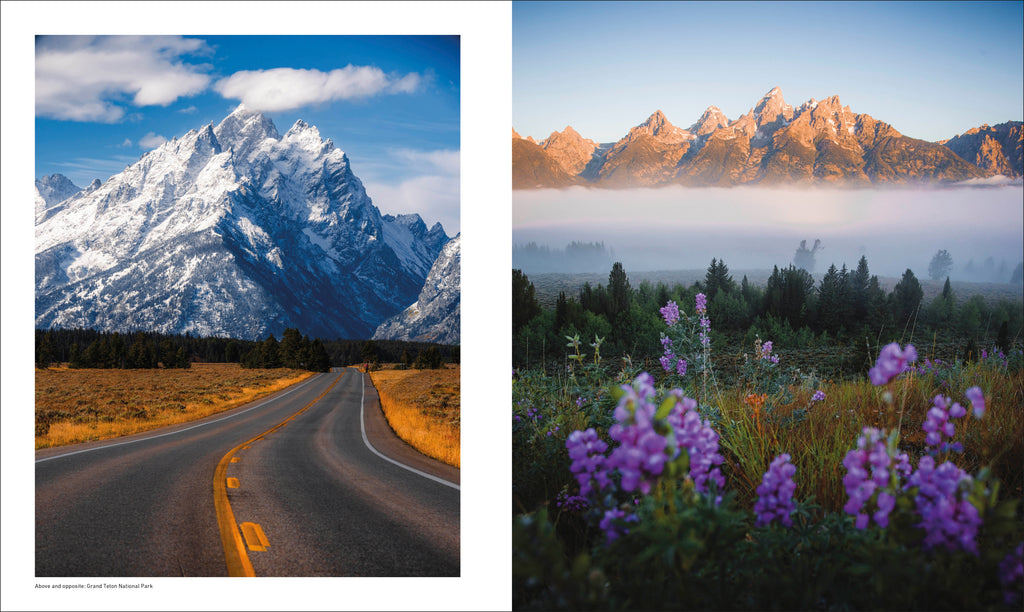 Otherworldly America