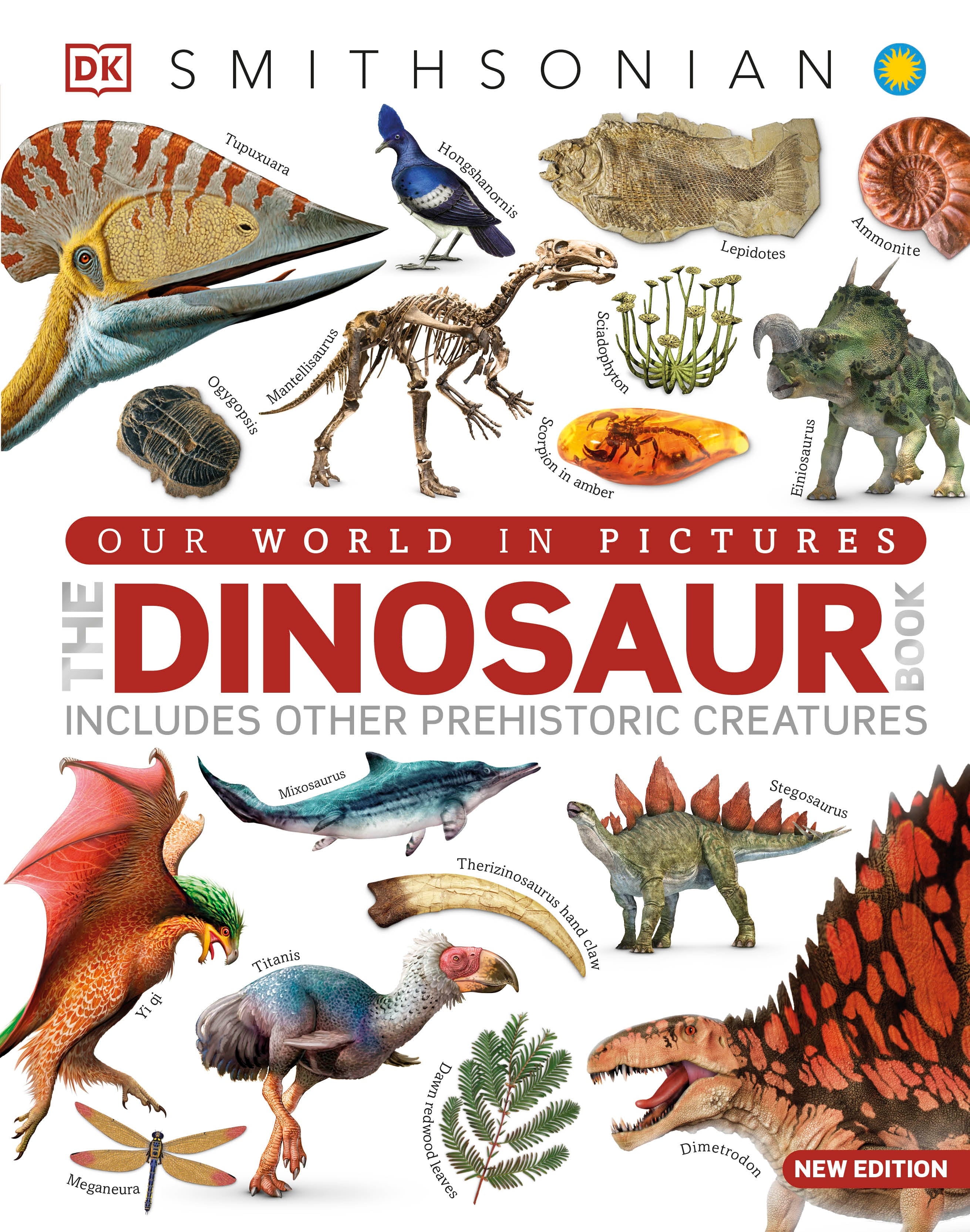洋書　恐竜図鑑(スペイン語)　2冊セット Dinosaur Books – DK
