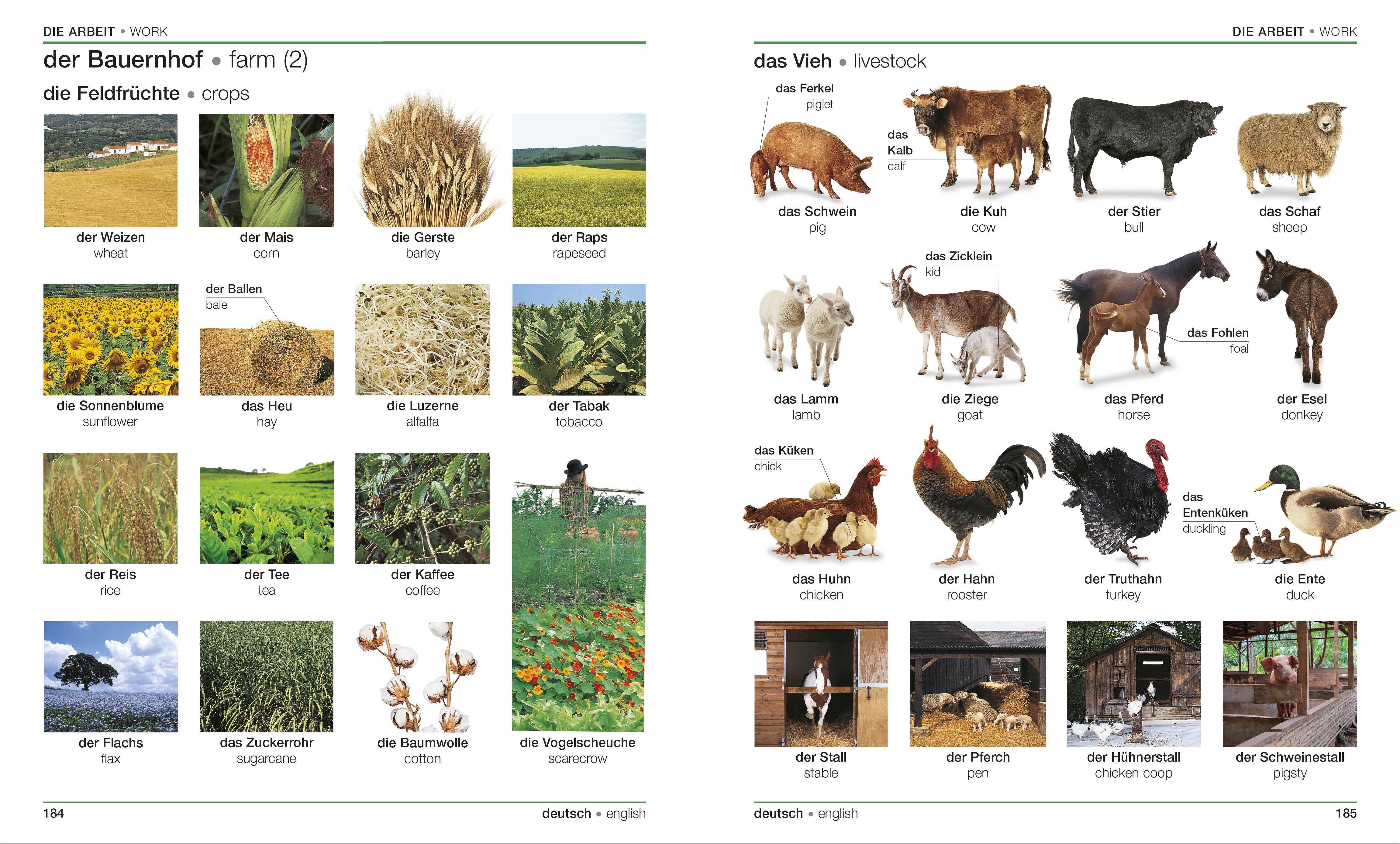 German English Bilingual Visual Dictionary – DK
