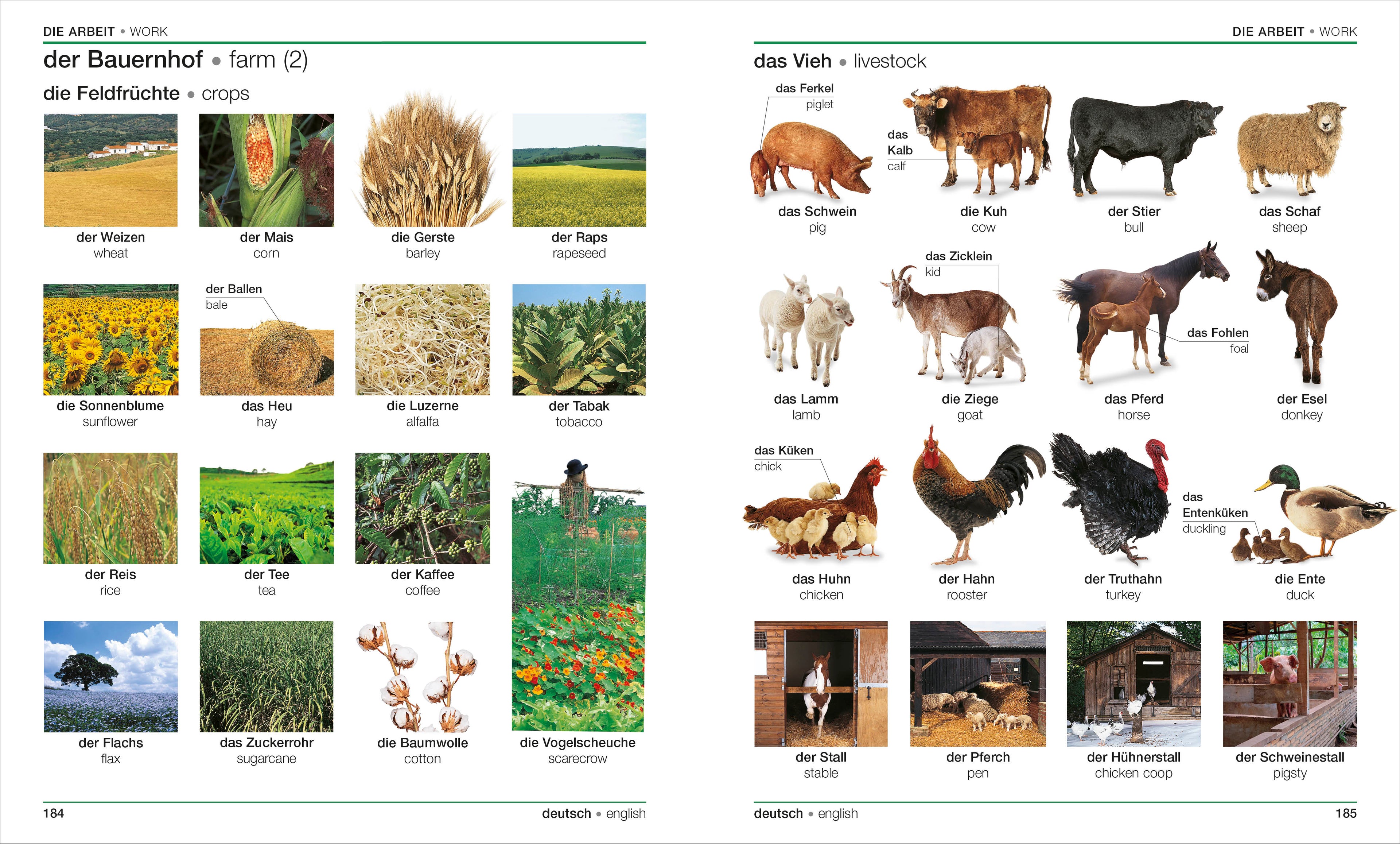 9780744097917-spread-3