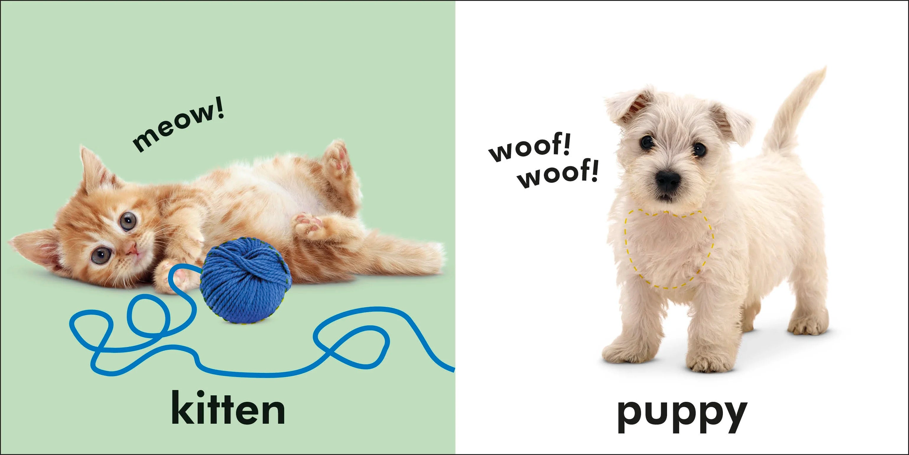 Baby Touch and Feel Animals