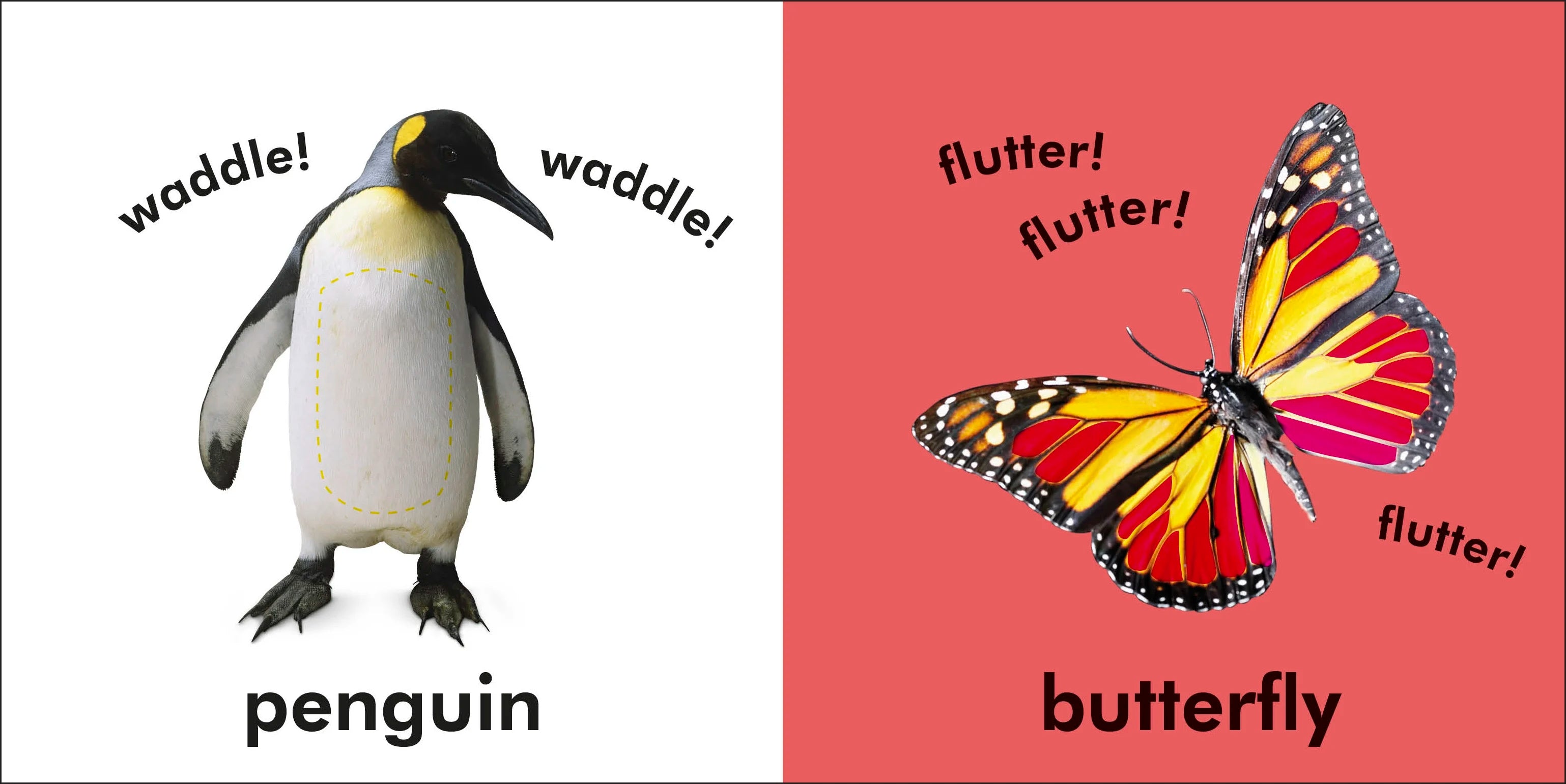 Baby Touch and Feel Animals