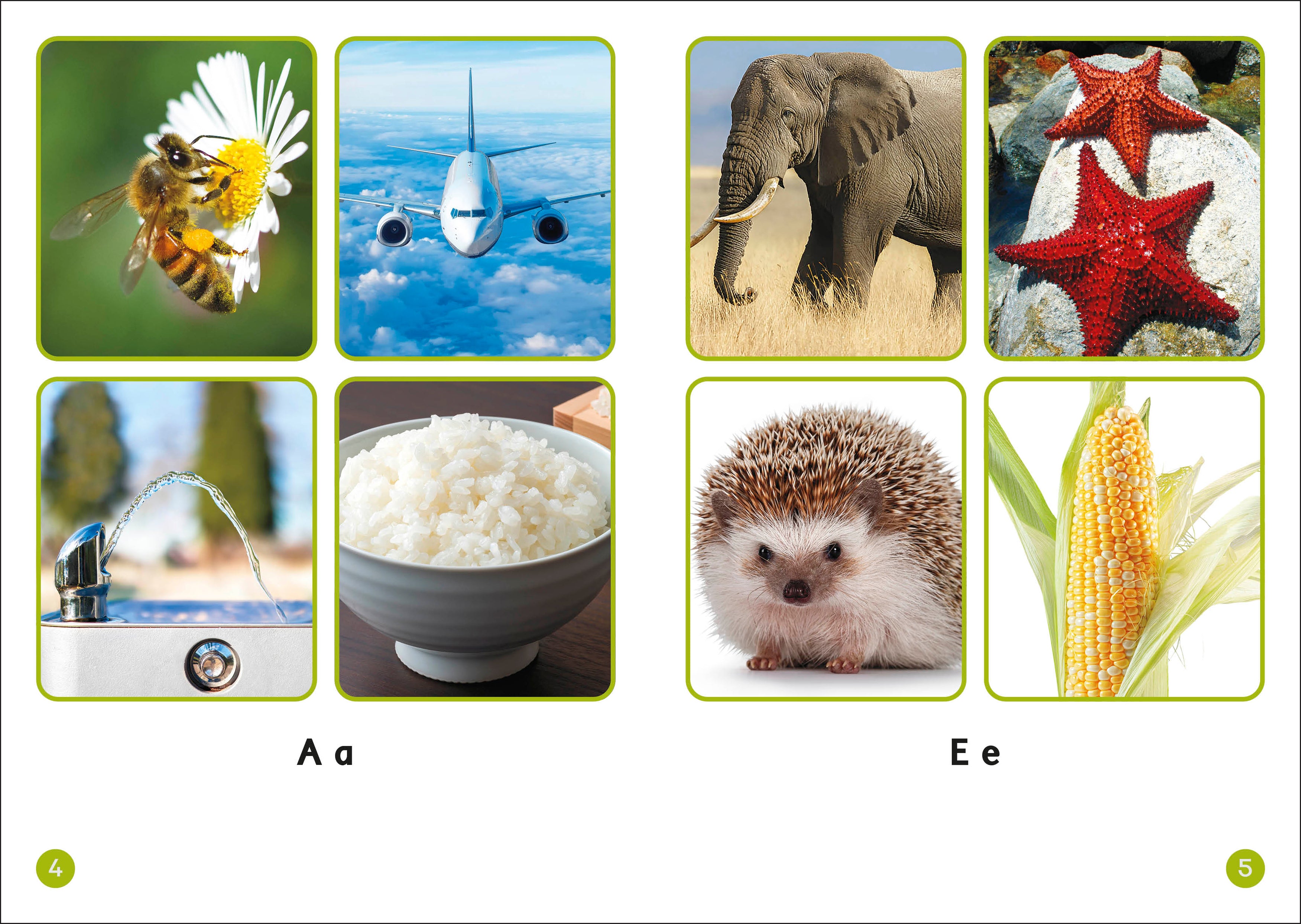 9798217134892-spread-1