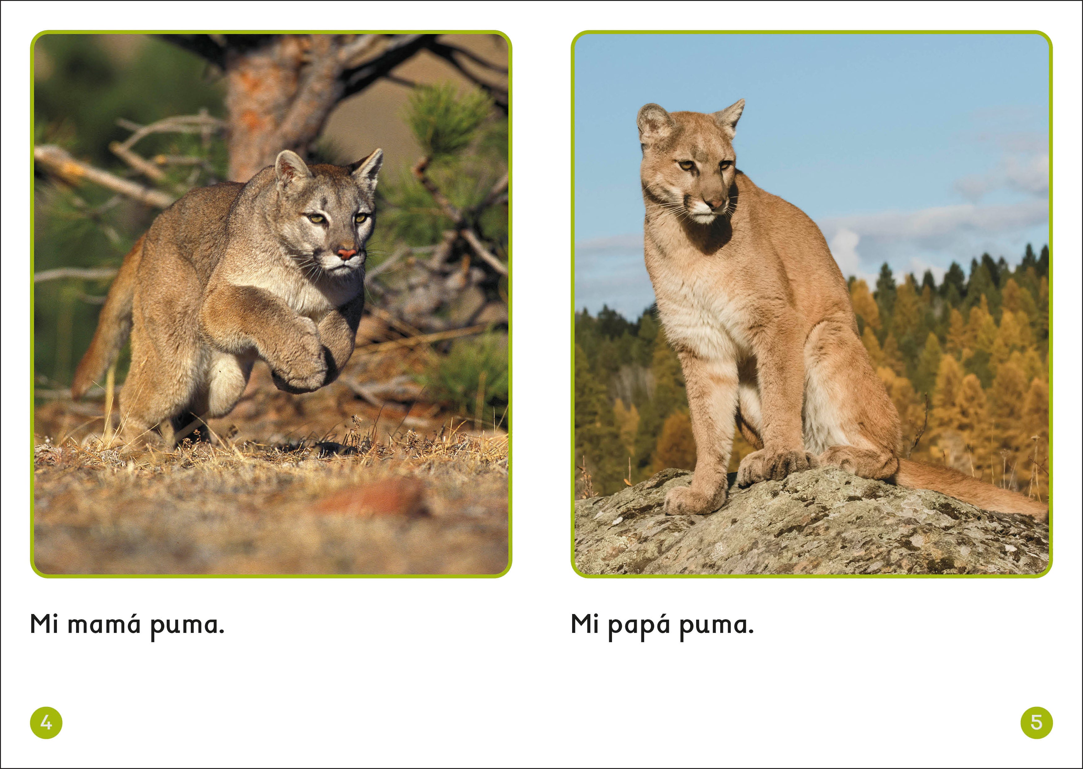 9798217134892-spread-2