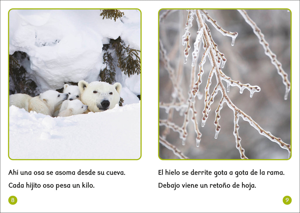 9798217134892-spread-3