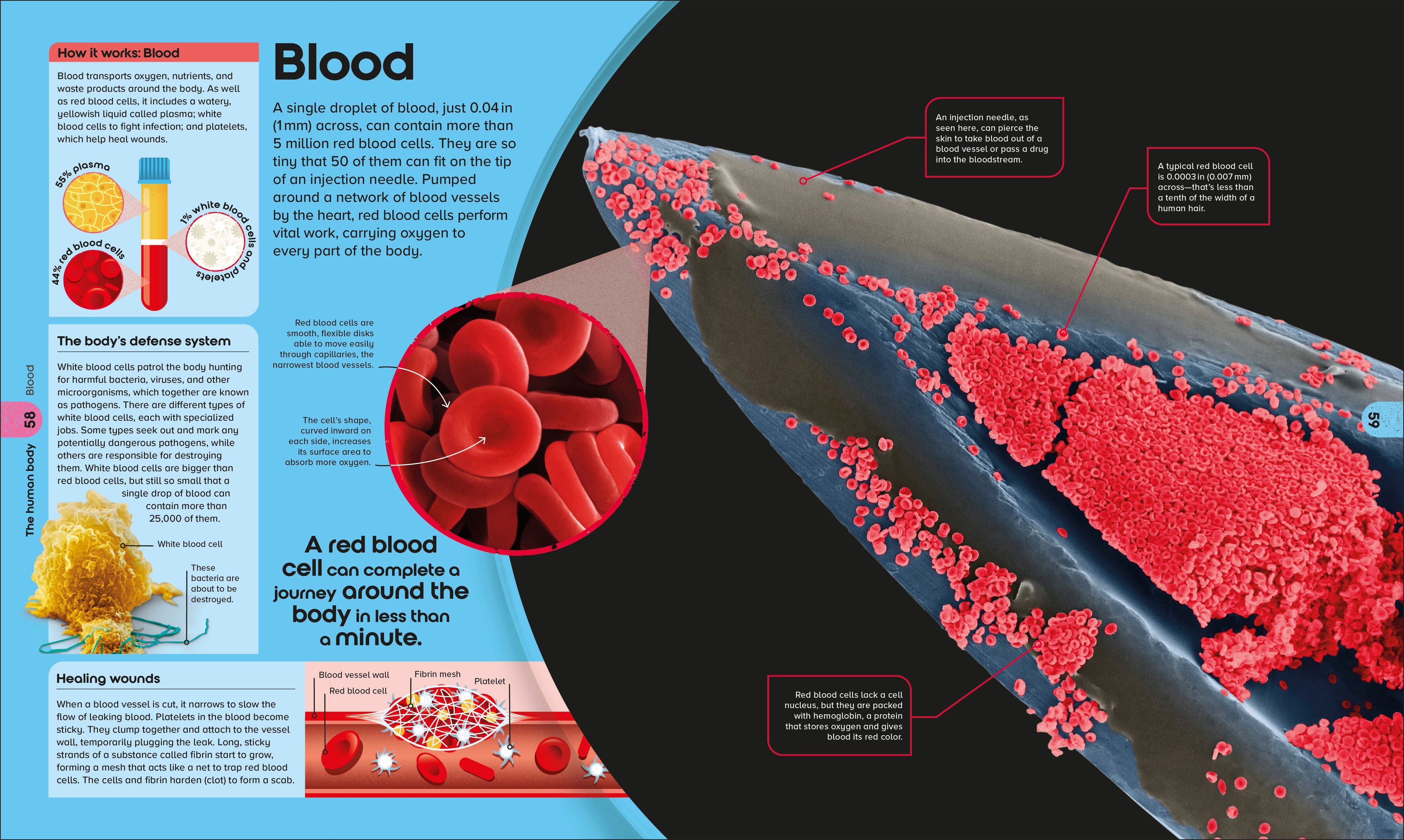 9798217136049-spread-3