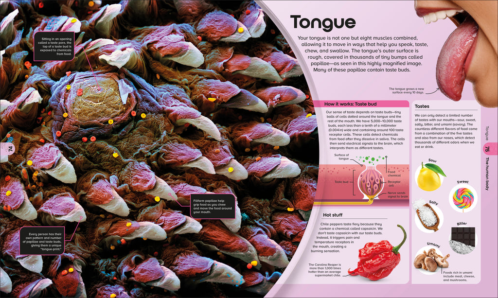 9798217136049-spread-4