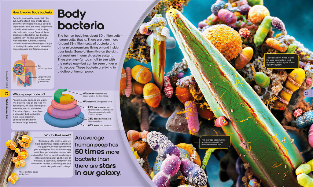 9798217136049-spread-5