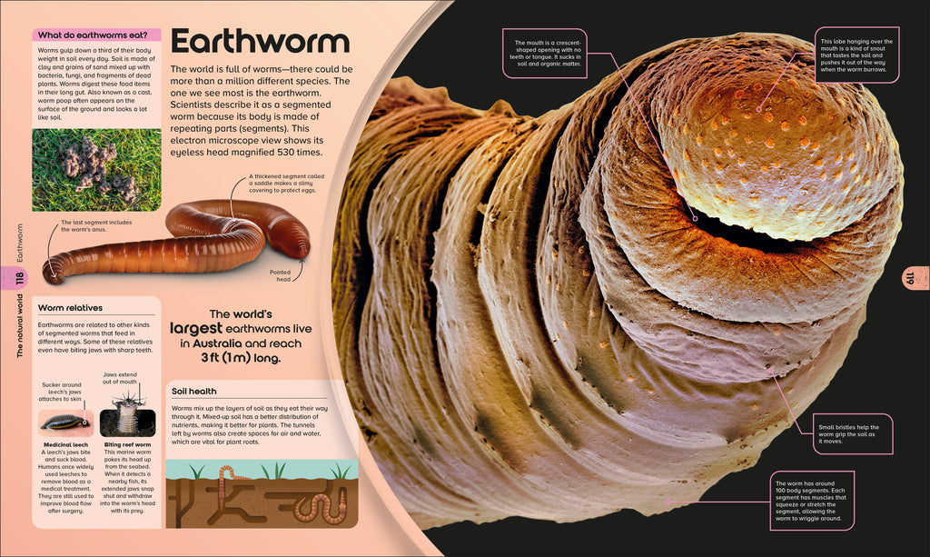 9798217136049-spread-7