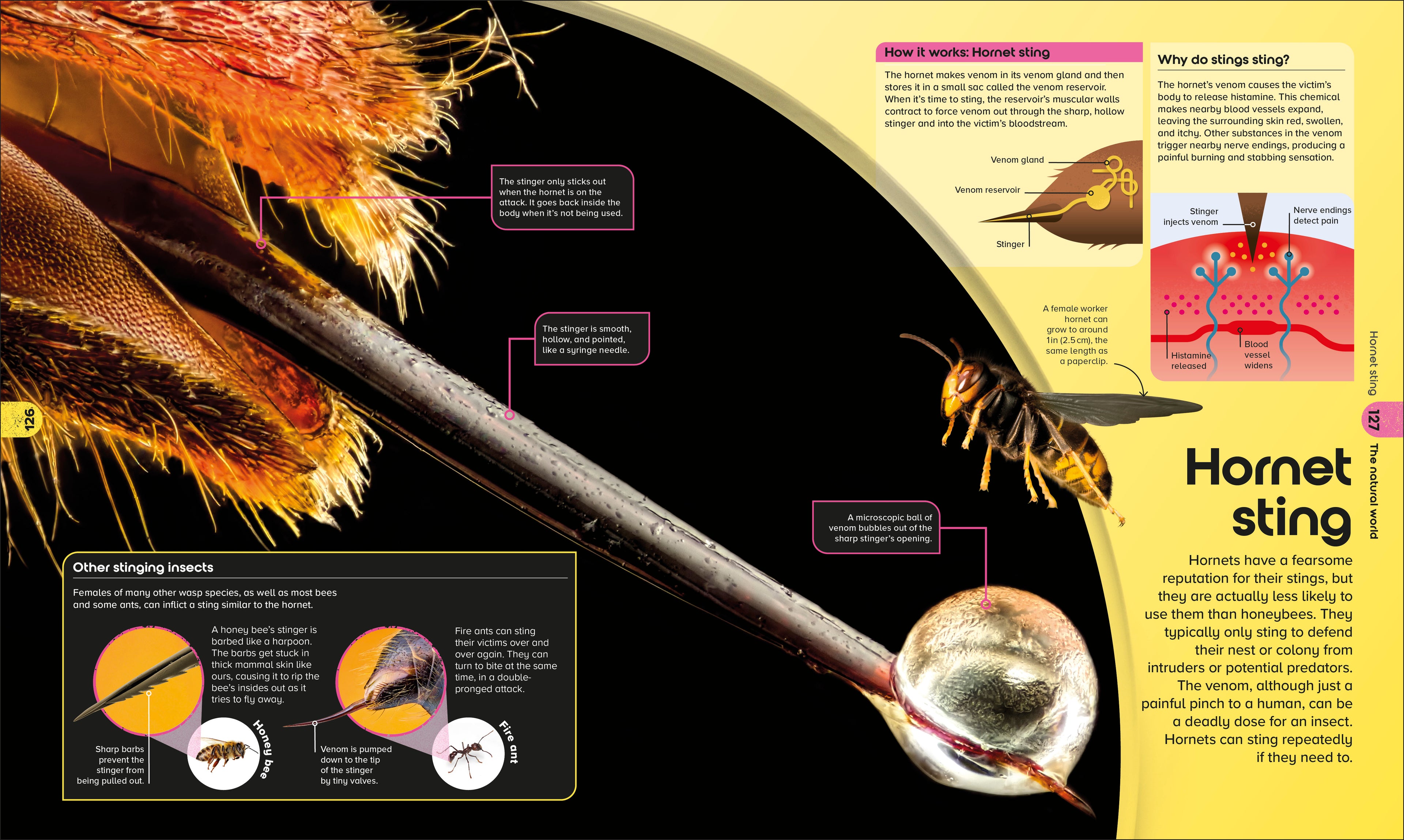 9798217136049-spread-8