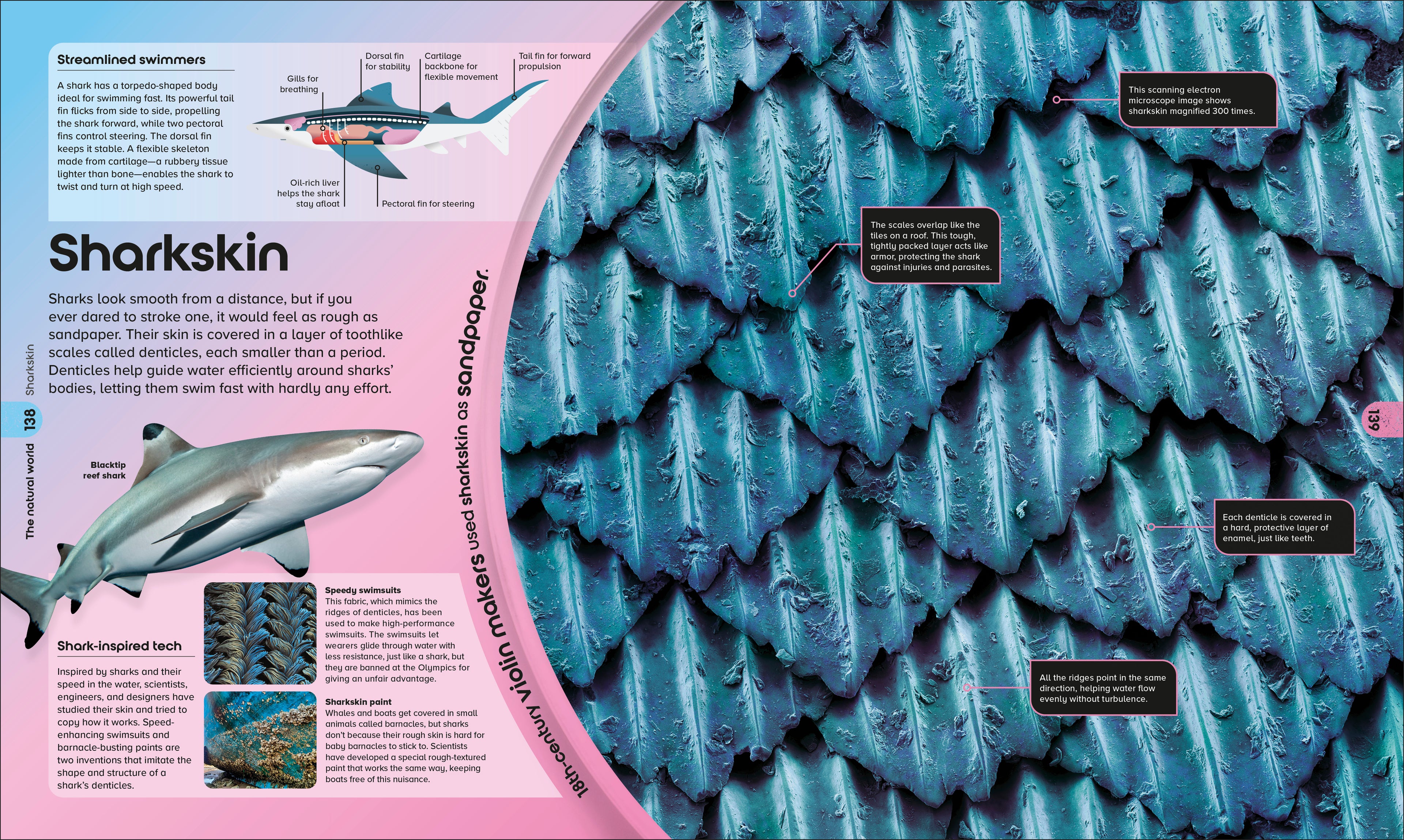 9798217136049-spread-9