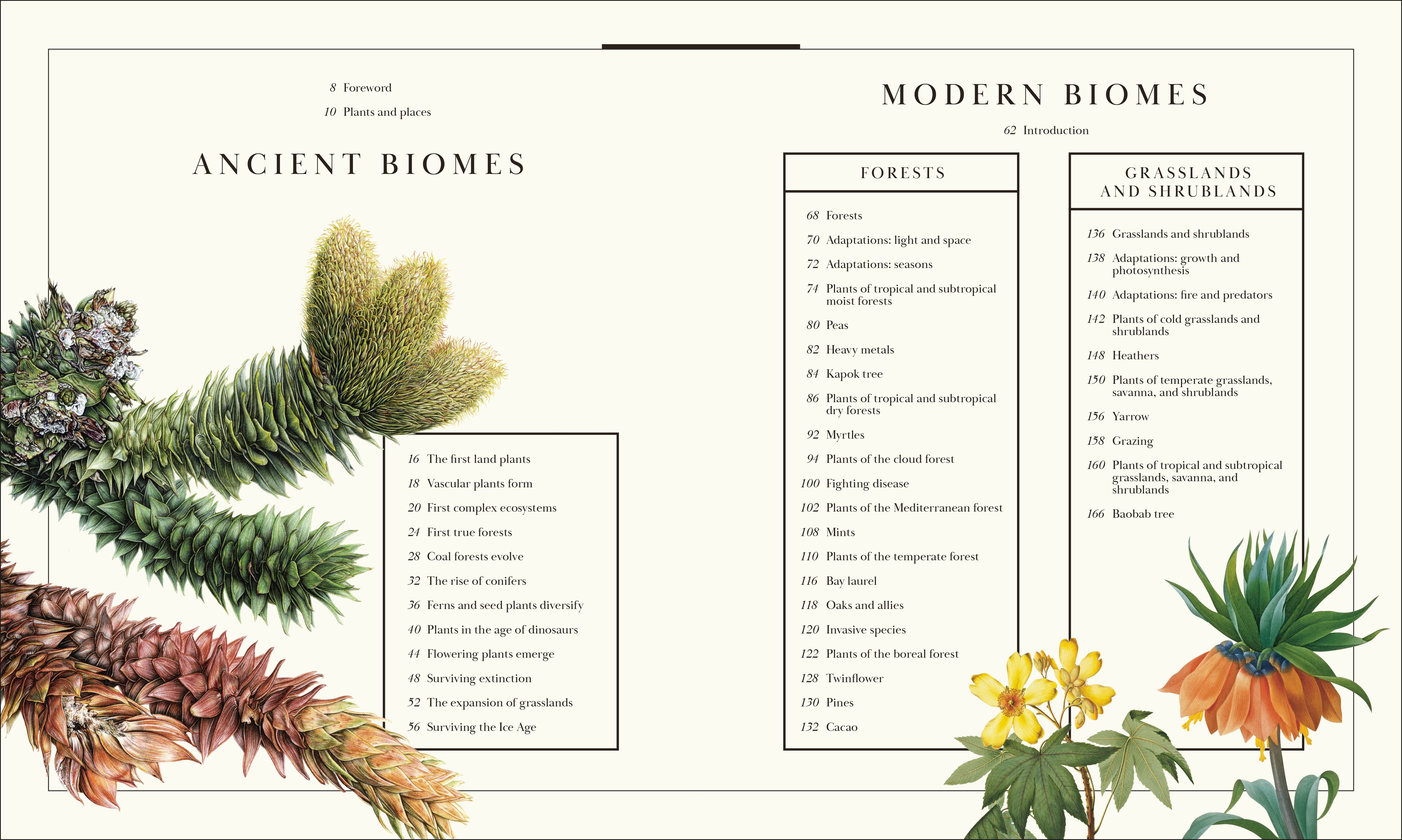 Atlas of Botany – DK