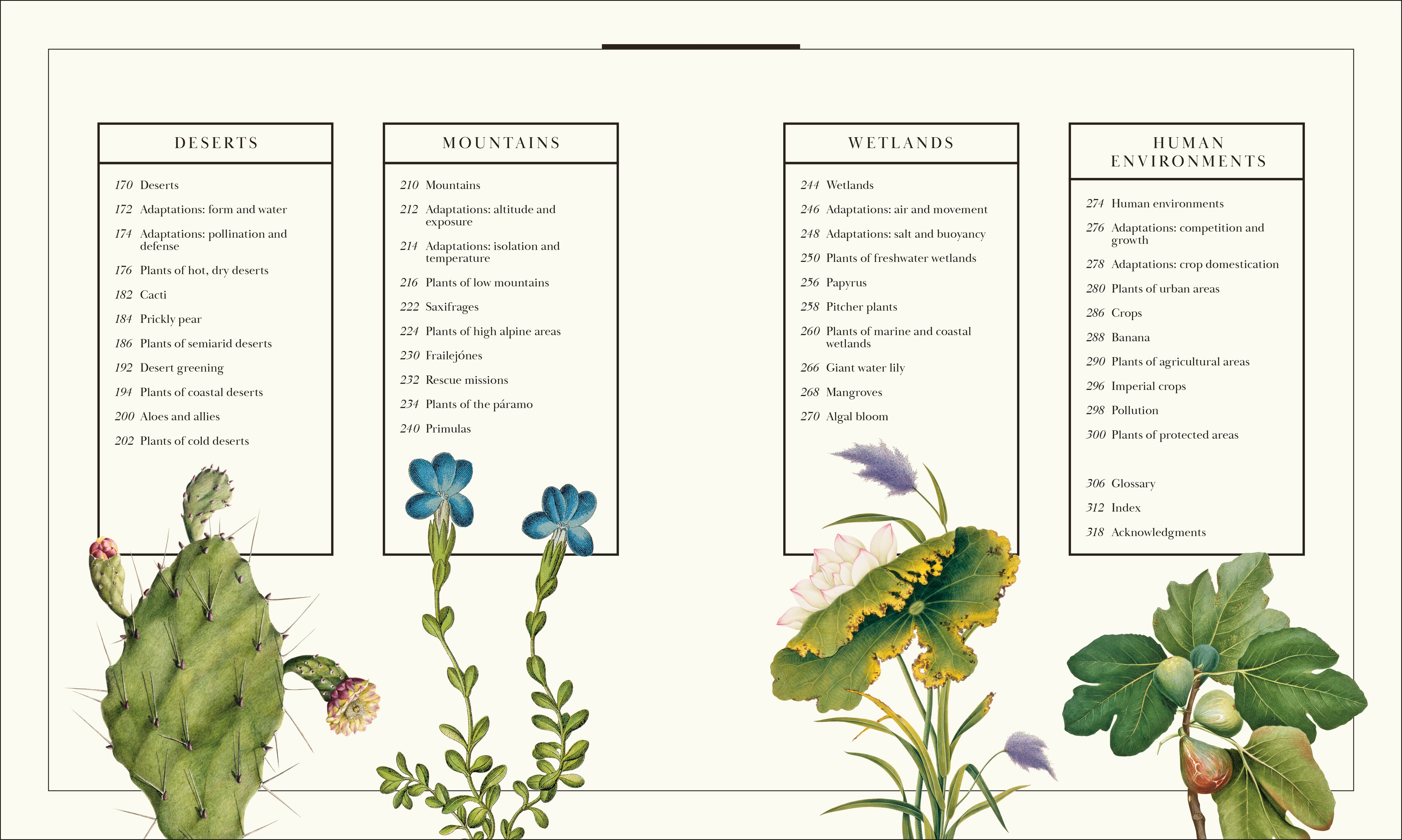 Atlas of Botany – DK