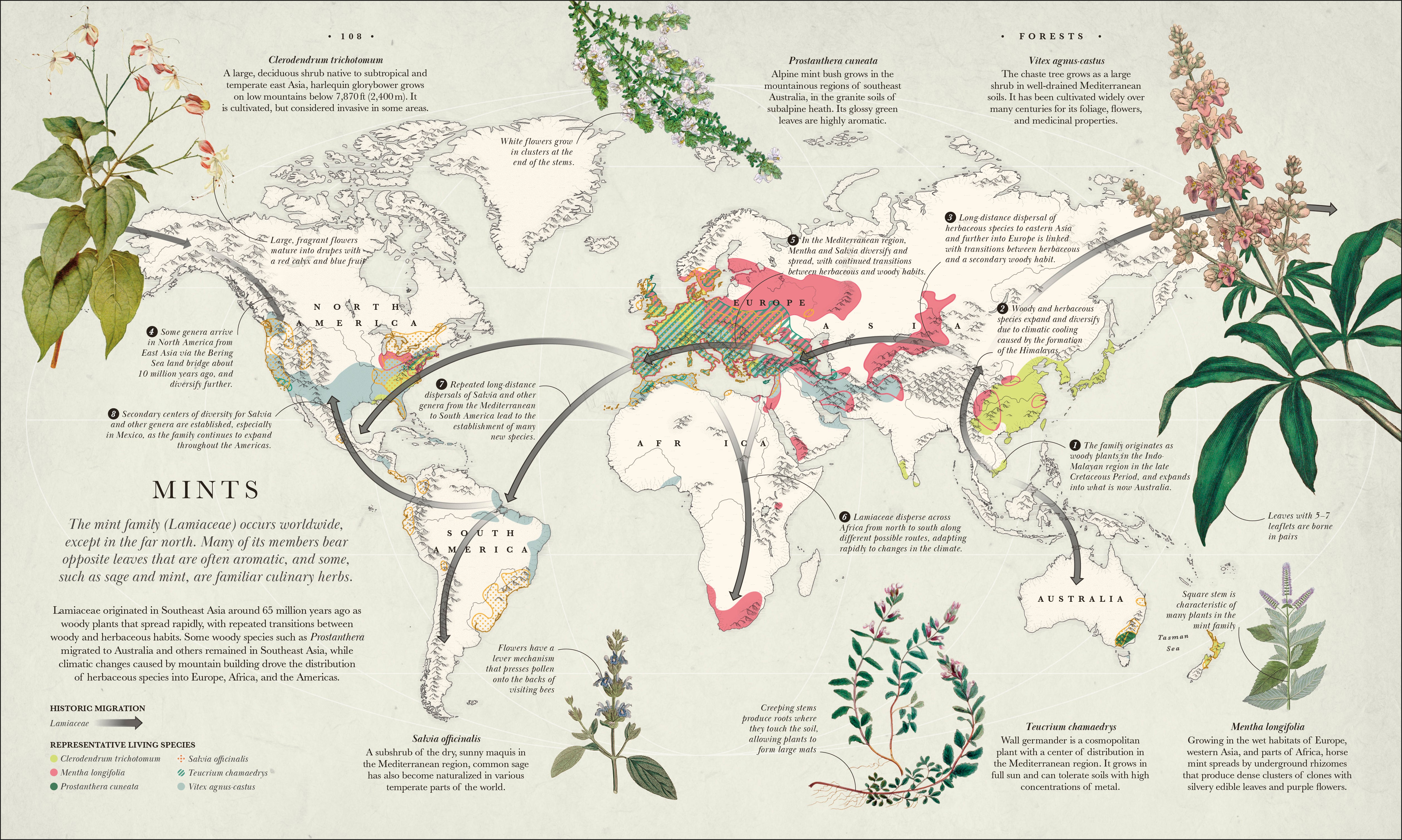 Atlas of Botany – DK
